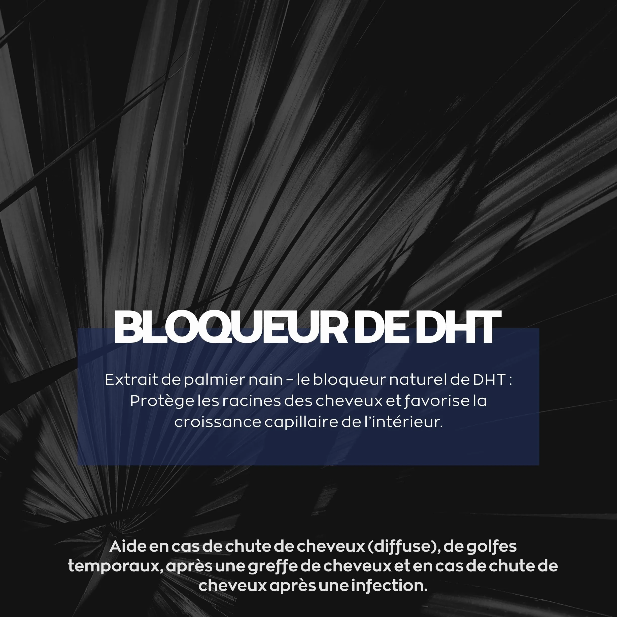 XPECIA Comprimés contre la chute des cheveux, bloque DHT, croissance cheveux 120 Unité (Lot de 2 boites de 60)