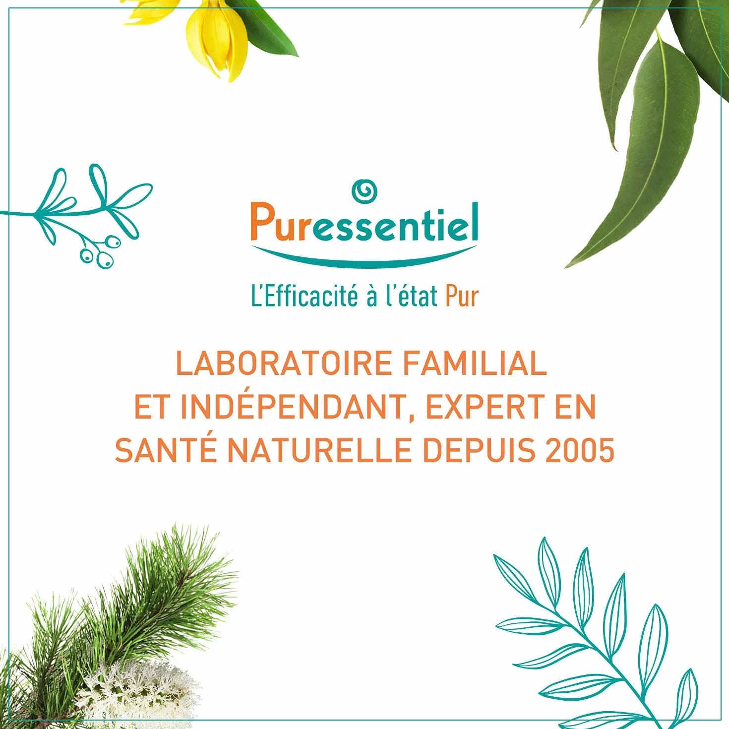 Puressentiel Savon Liquide Surgras BIO aux 3 Huiles Essentielles Antibactérien Visage Mains Corps Peaux Sèches 250ml