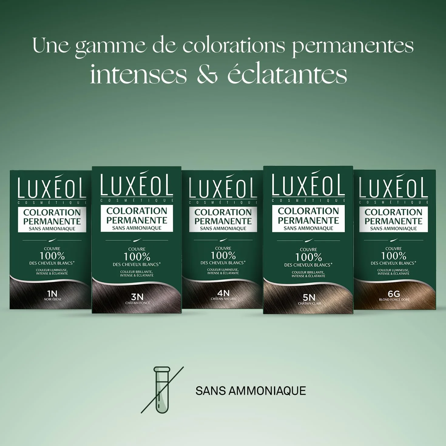 Luxéol Coloration Permanente 1N Noir Ébène Sans Ammoniaque Couvre 100% Cheveux Blancs 60ml