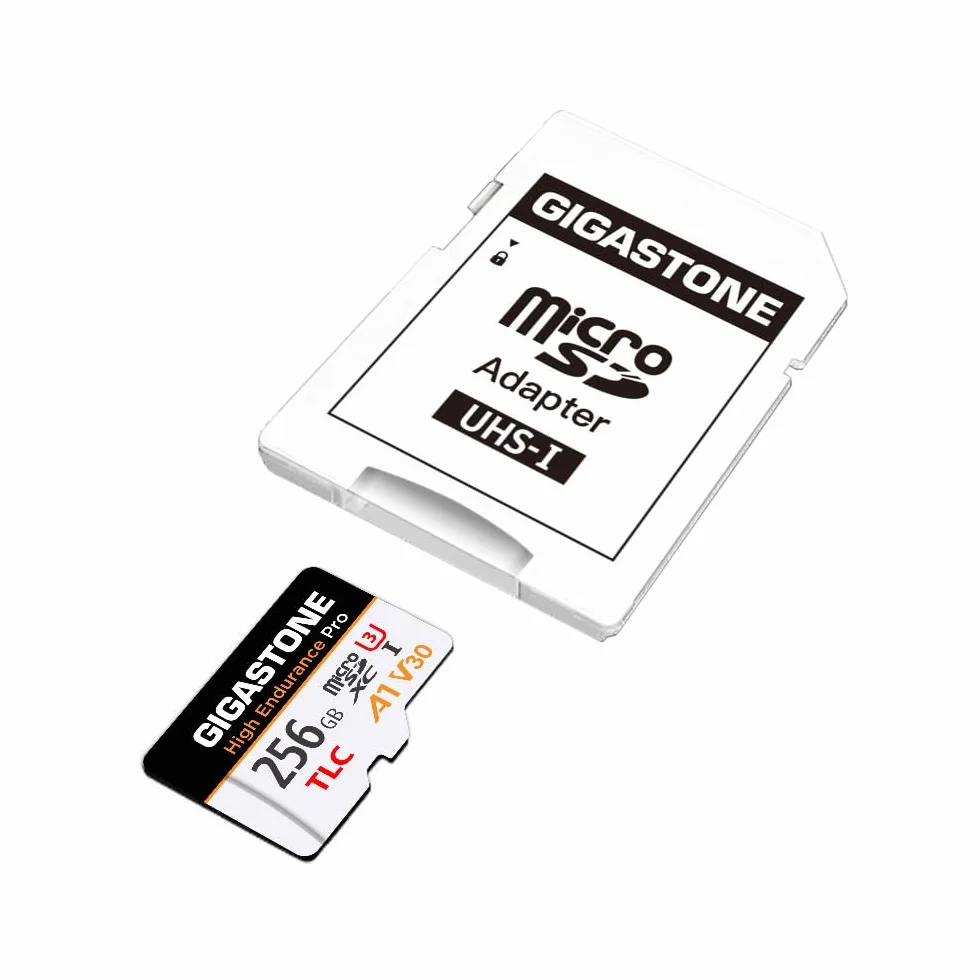GIGASTONE Carte Micro SD 256 Go Haute Endurance Pro Series 100 Mo/s