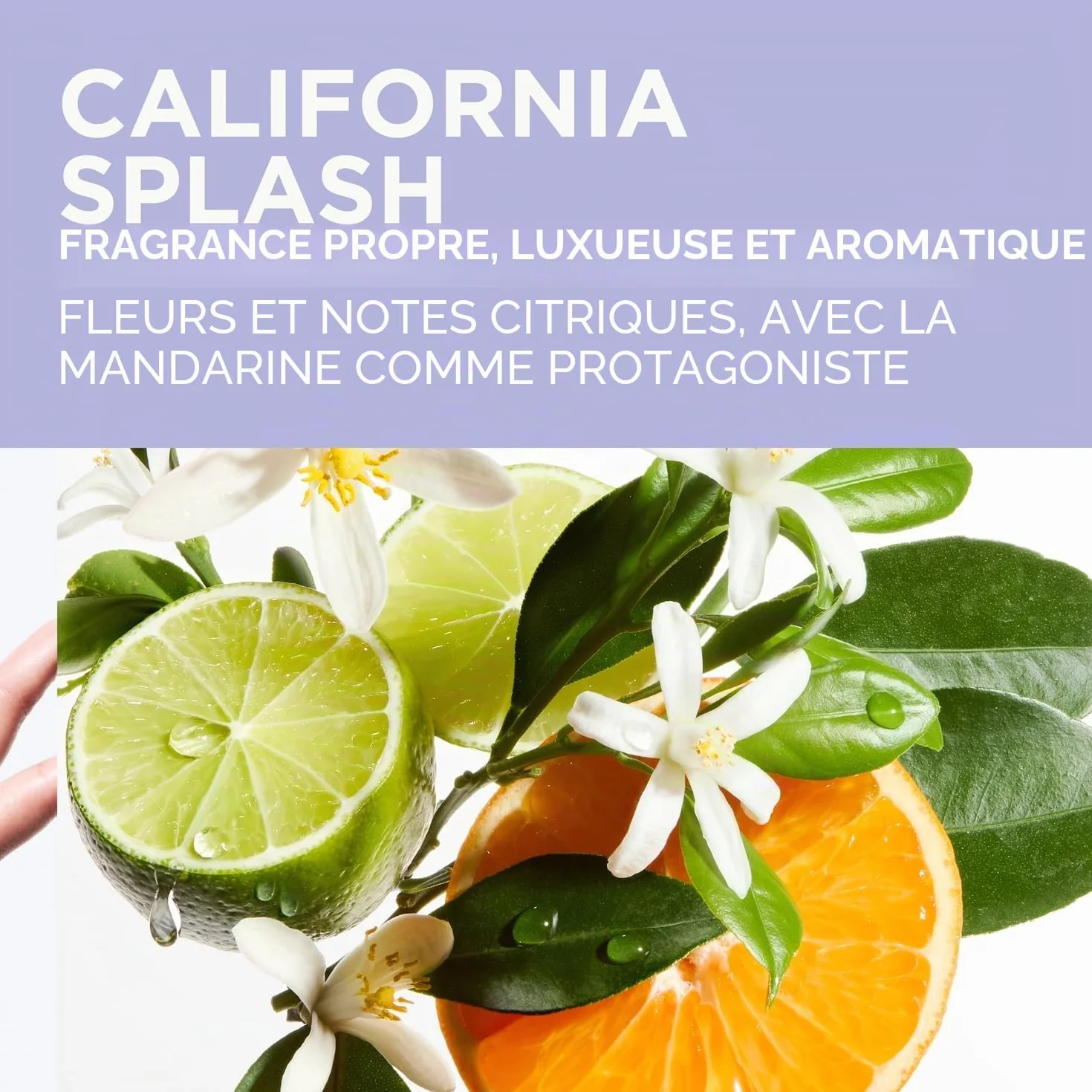 KERASTASE Blond Absolu Bain Lumière Shampoing Hydratant Illuminateur Cheveux Blonds 250 ml