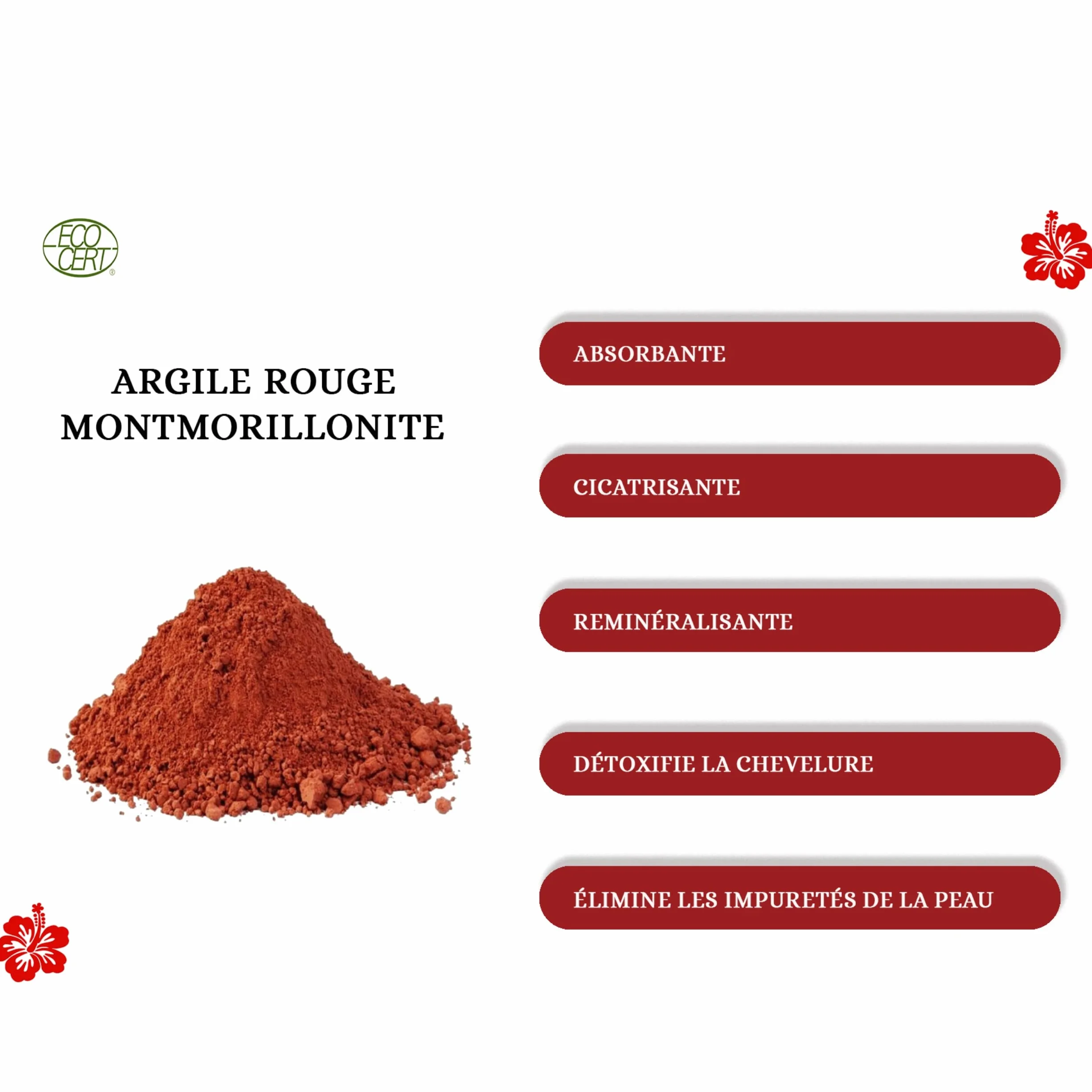 Argile rouge montmorillonite ECO-CERT avec pinceau en silicone - Nettoie les pores en profondeur, hydrate et adoucit la peau