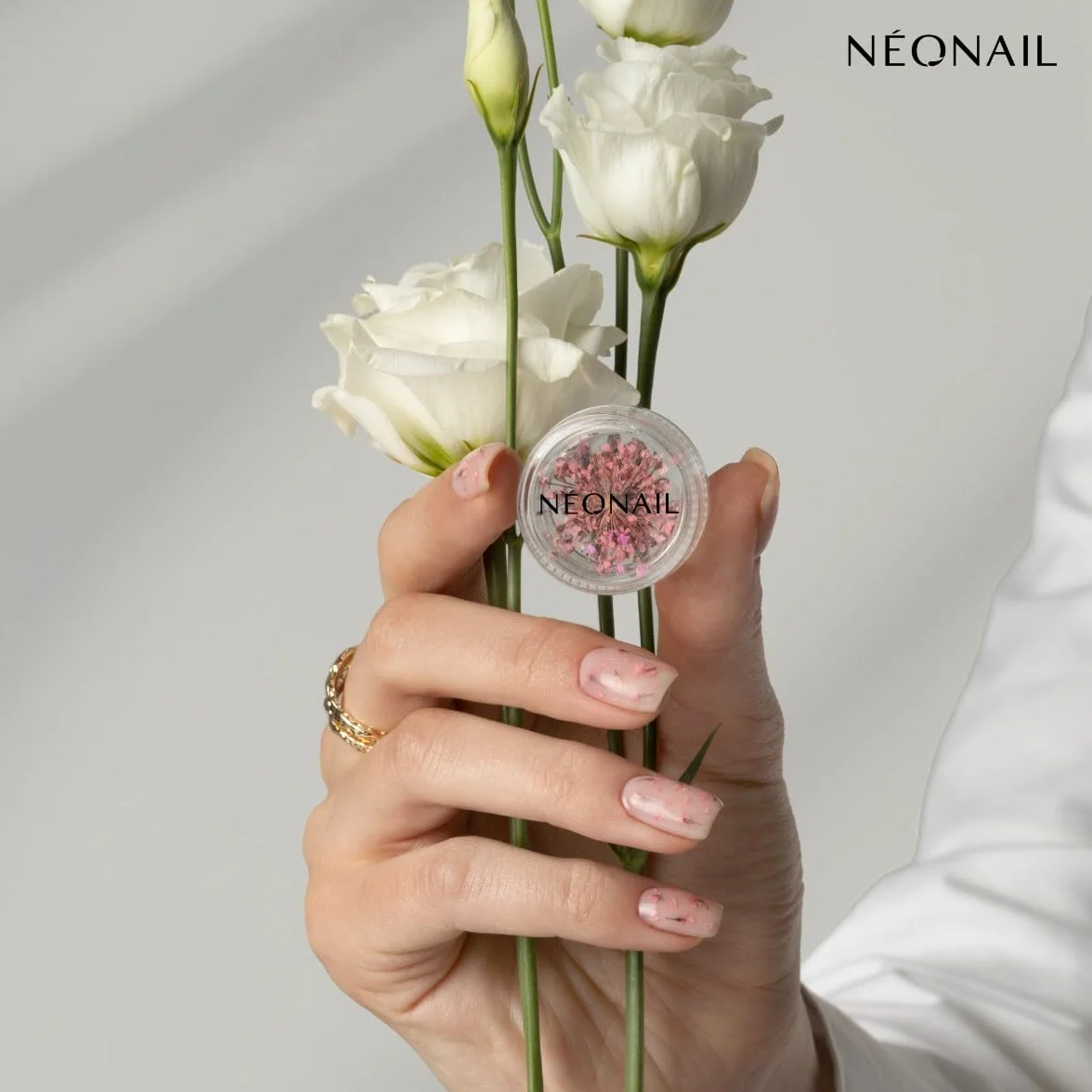 NEONAIL Fleurs Séchées Set de décoration d'ongles Nail Art 3 couleurs rose violet orange
