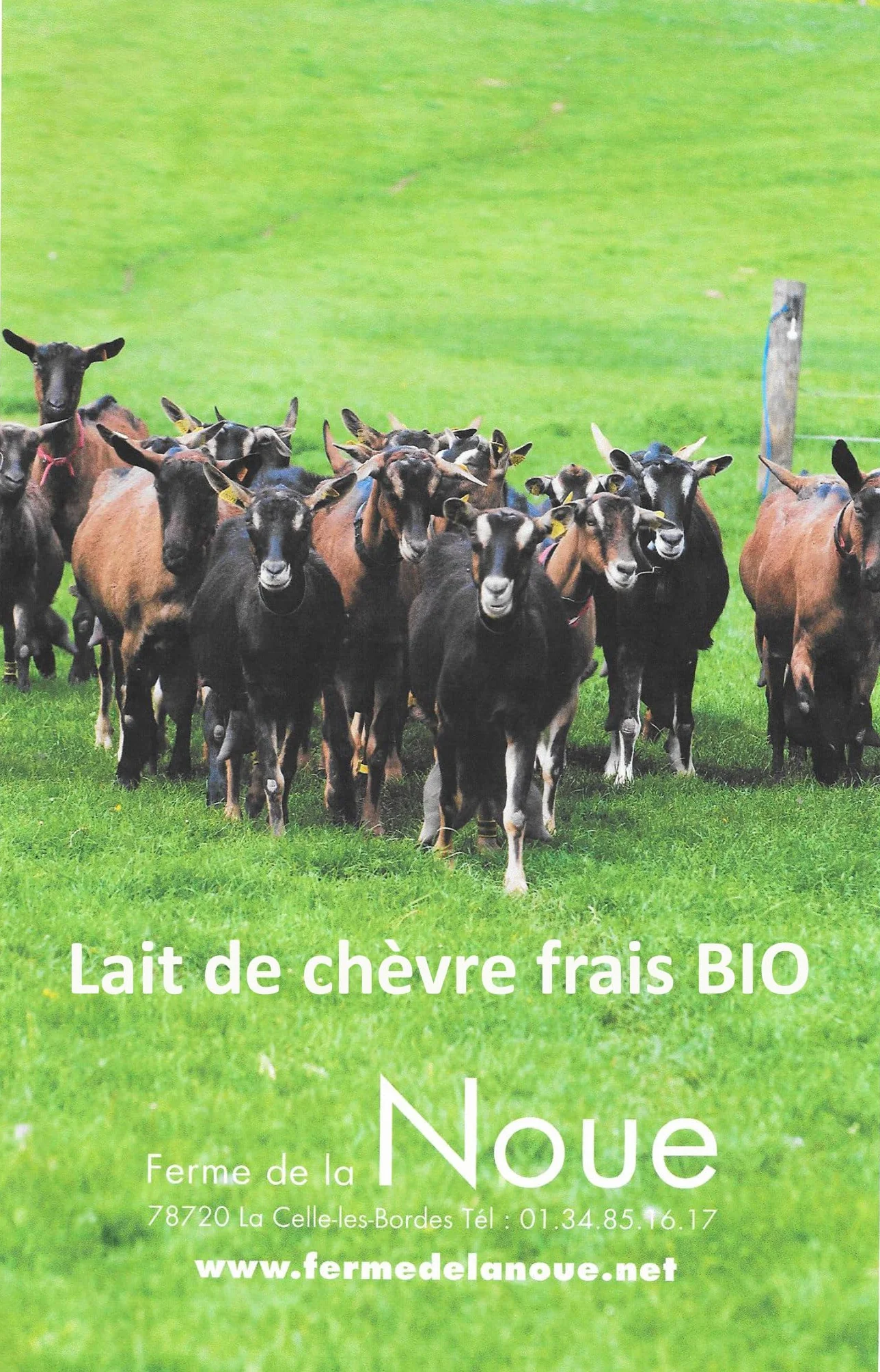 Savon au Lait de Chèvre Frais Bio - Saponification à Froid, pour Eczéma, Psoriasis, Acné - Hydratant et Apaisant, Peau Douce