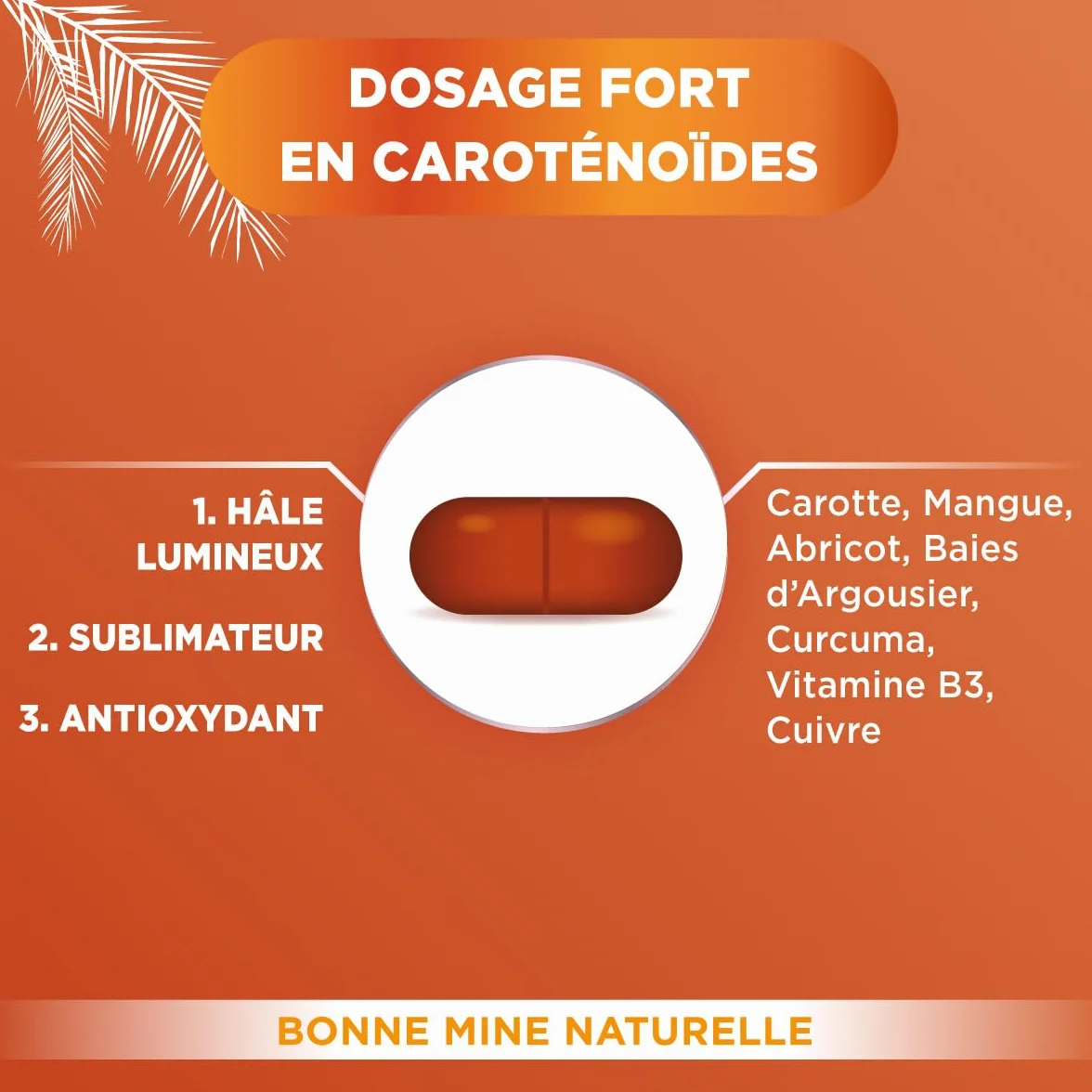 Forté Pharma Expert Autobronz Complement alimentaire bronzage Hâle naturel Autobronzant sans soleil Cuivre Carotte Mangue Abricot Curcuma Vitamine B3 60 jours