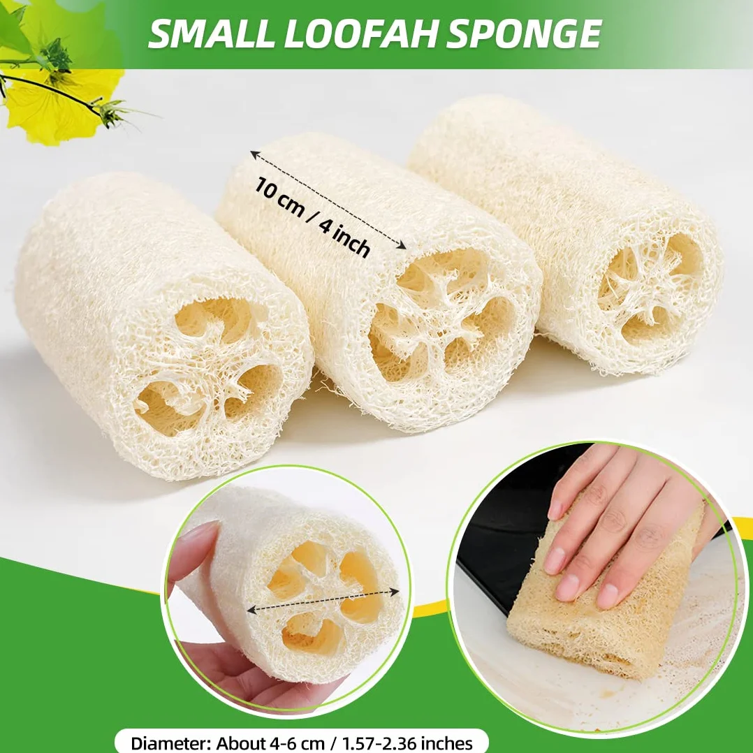 Éponge Luffa Naturelle, Éponge de Bain Exfoliante et Éponge Vaisselle Réutilisable - Lot de 6