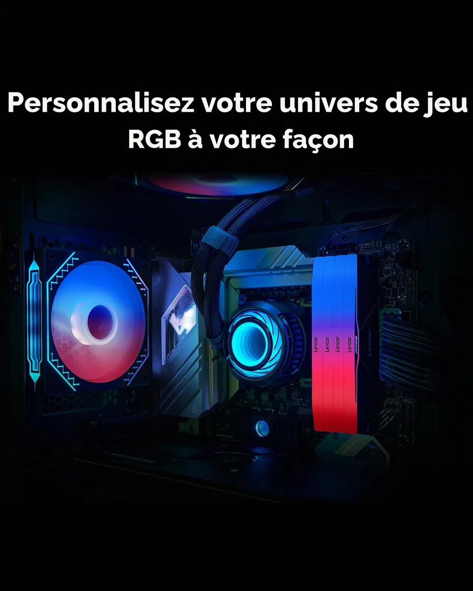 Lexar RGB DDR5 RAM 1x24 Go 6000MHz CL28, Mémoire de bureau UDIMM 288 broches, Mémoire de PC de jeu haute performance pour AMD EXPO, IA, DRAM Empowered by SK hynix, CL28-36-36-68, 1,4V