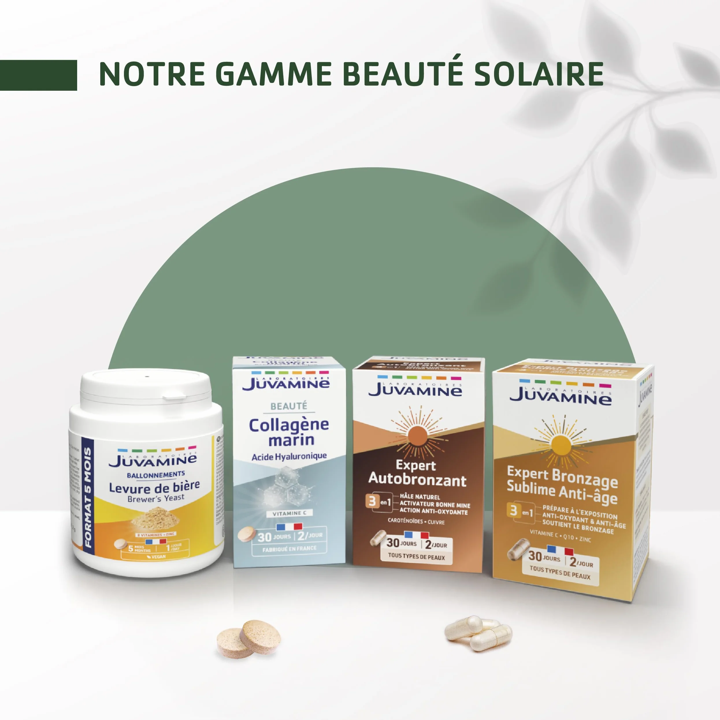 JUVAMINE Chute de Cheveux Pousse Croissance 6 Actifs Beauté Zinc Biotine 30 Comprimés Fabriqué en France