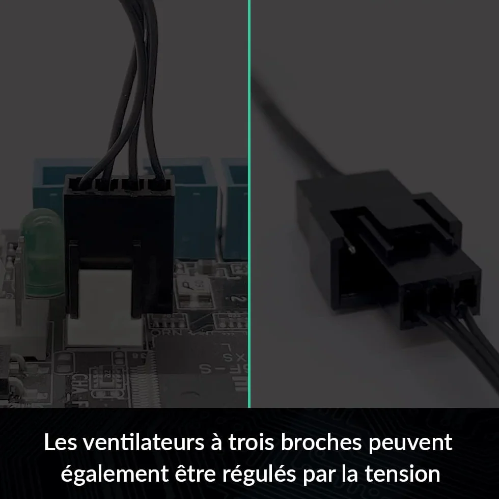 ARCTIC Câble d'extension PST pour 4 ventilateurs de boîtier PWM Fan Splitter Cable Connecteur multi-ventilateur