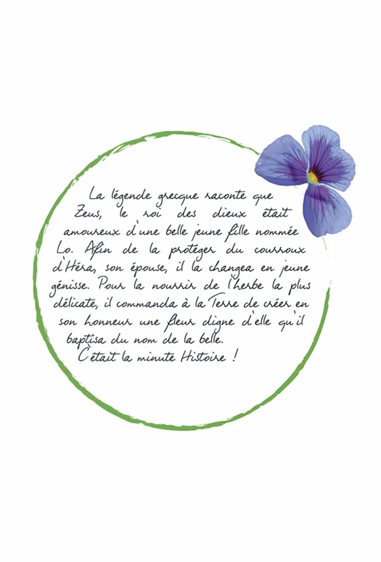 Corine de Farme Mousse Micellaire Relax Bio 100ml, Soin Visage Peaux Sensibles, Certifié ECOCERT COSMOS Organic