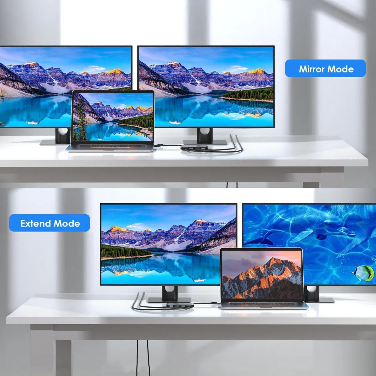 ASHATA USB C et USB 3.0 à Double Adaptateur HDMI DisplayPort 4K DisplayPort, Affichage D'affichage Splater étendu pour Double Moniteur 4K @ 60Hz Splitter, Alliage