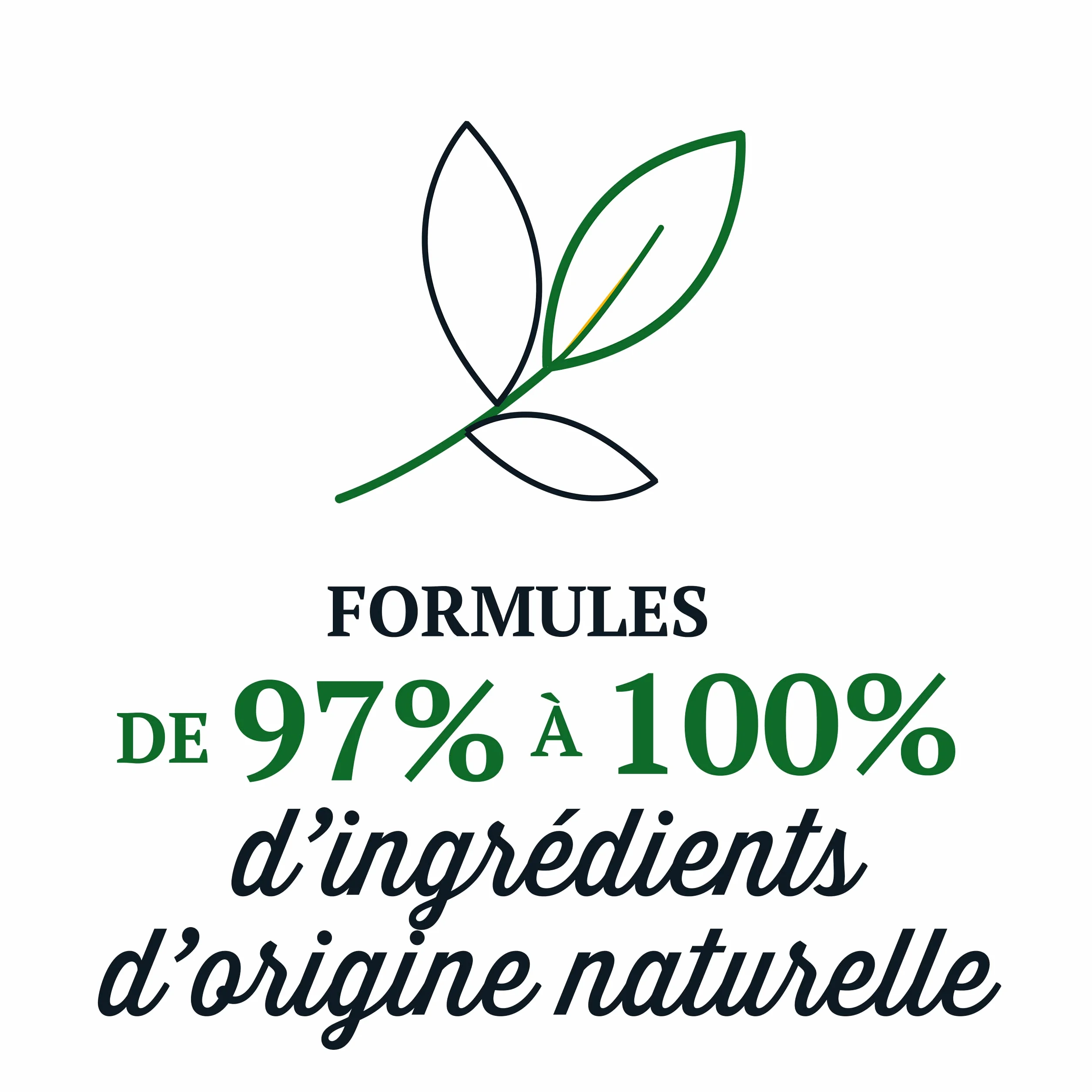 Briochin P'ti Bio Gel Lavant 2-en-1 Corps & Cheveux A La Pâquerette 250 ml Certifié Bio