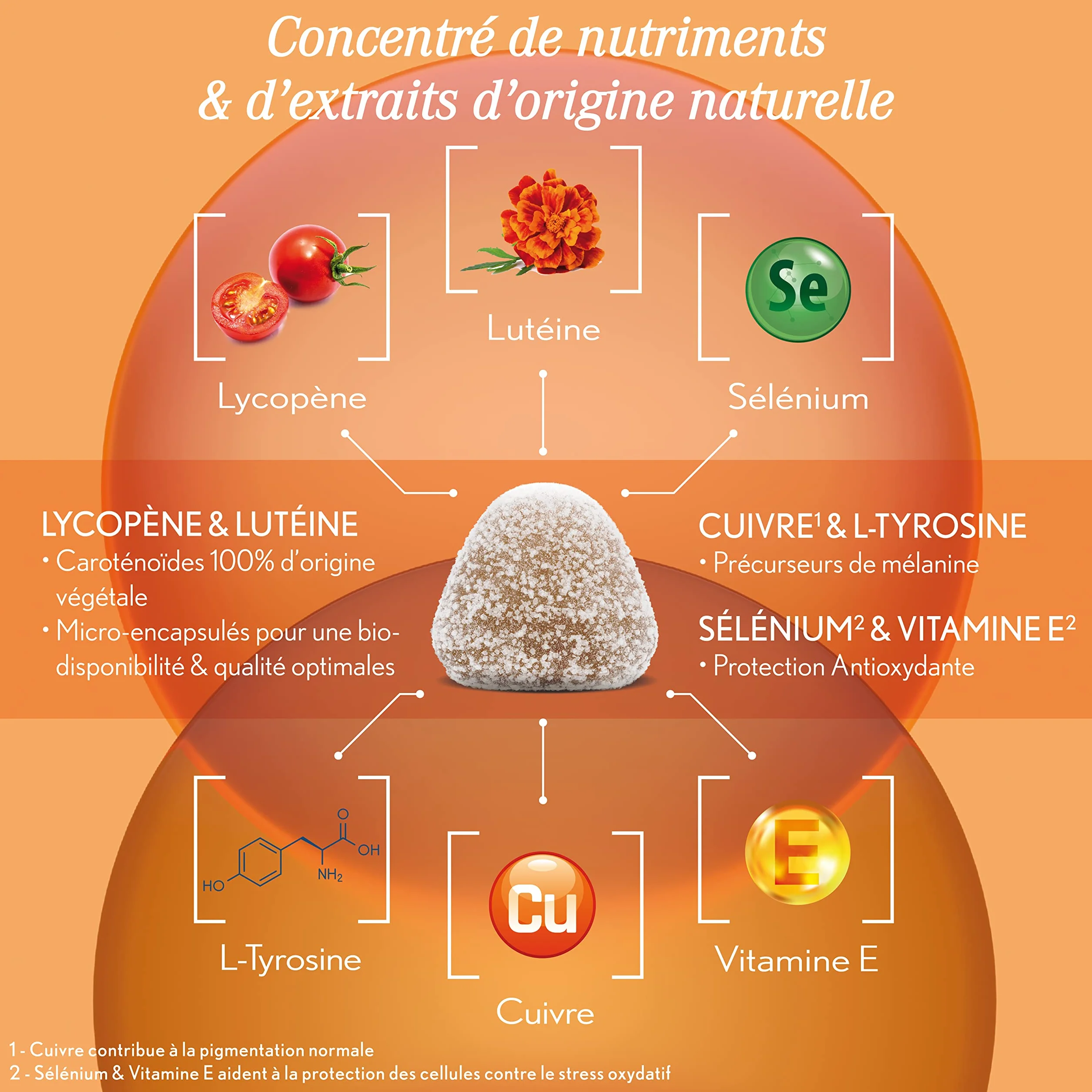 OENOBIOL Solaire 2 en 1 Gummies - Préparateur Solaire Autobronzant - Complément Alimentaire 1 Mois 60 Gummies - Sans Sucre Vegan