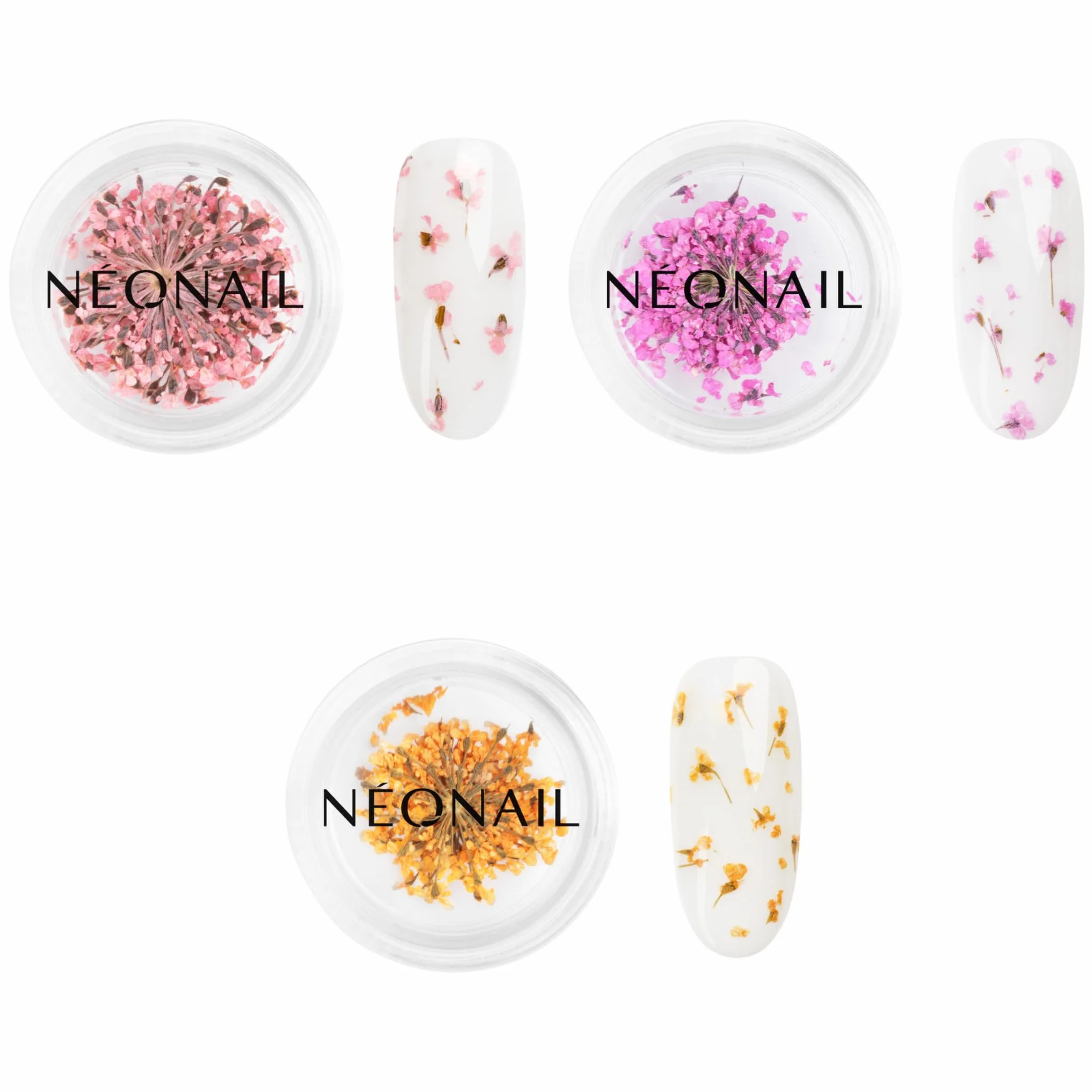 NEONAIL Fleurs Séchées Set de décoration d'ongles Nail Art 3 couleurs rose violet orange