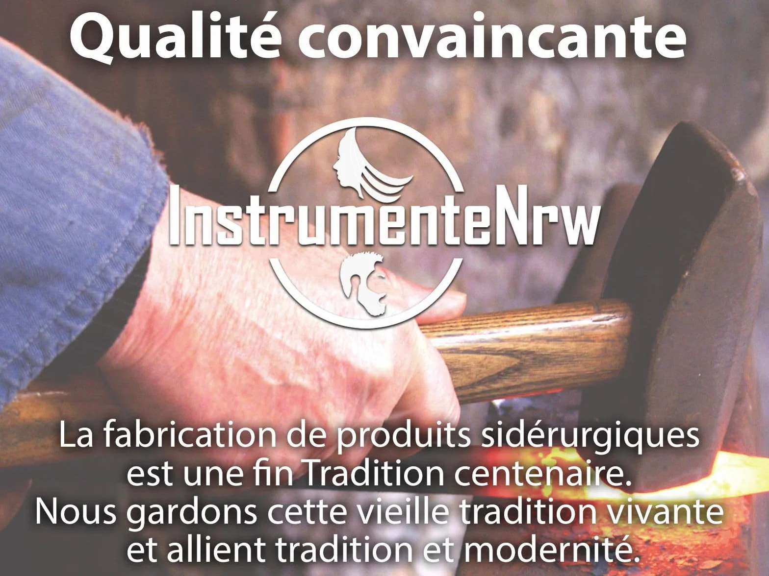 Ciseaux à ongles pour les pieds Acier inoxydable Manucure Pédicure lame incurvée 10,5 cm