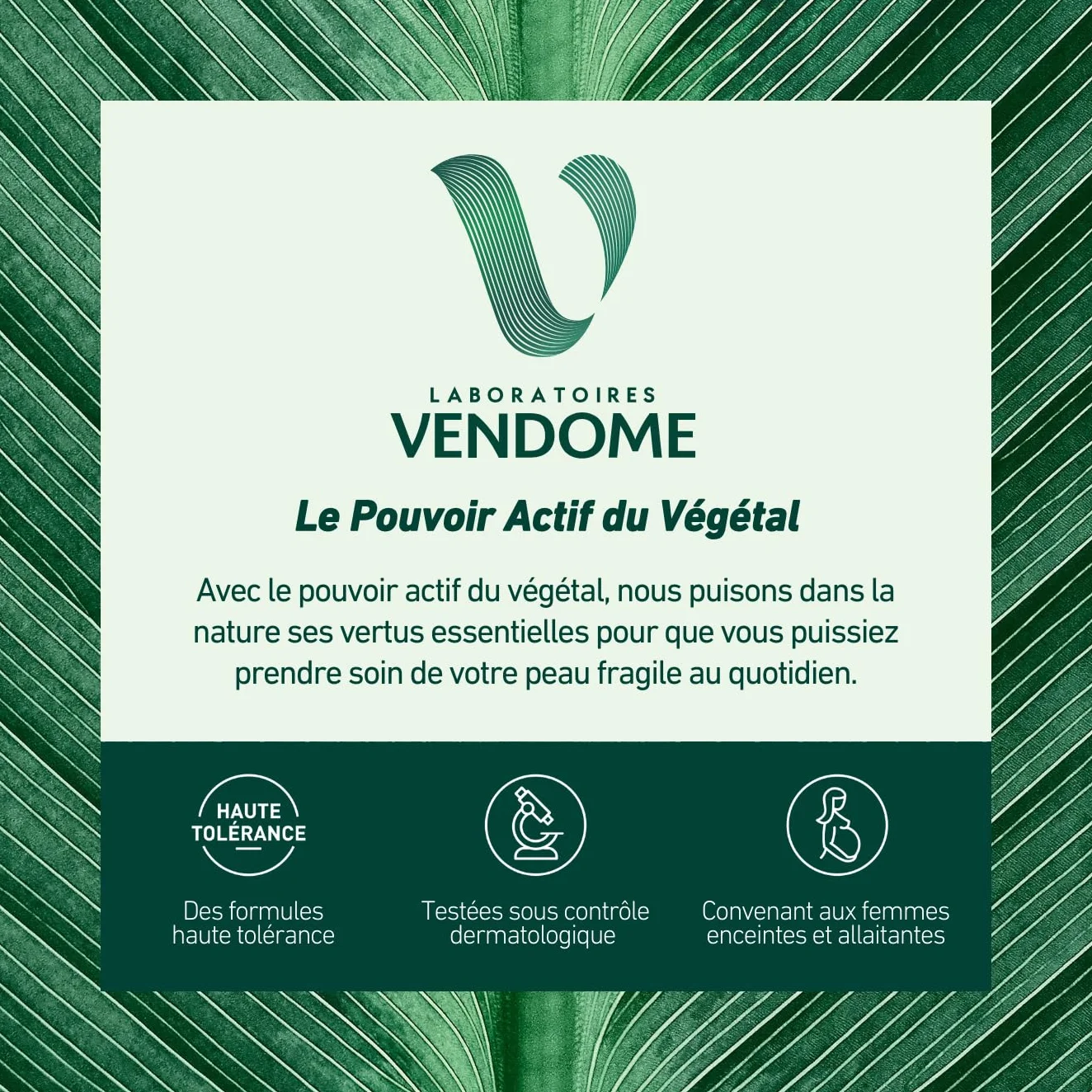 LABORATOIRES VENDÔME NUTRI V+ Pain Dermatologique Huile d'Abricot Corps & Visage 100g Peaux Sèches à Très Sèches