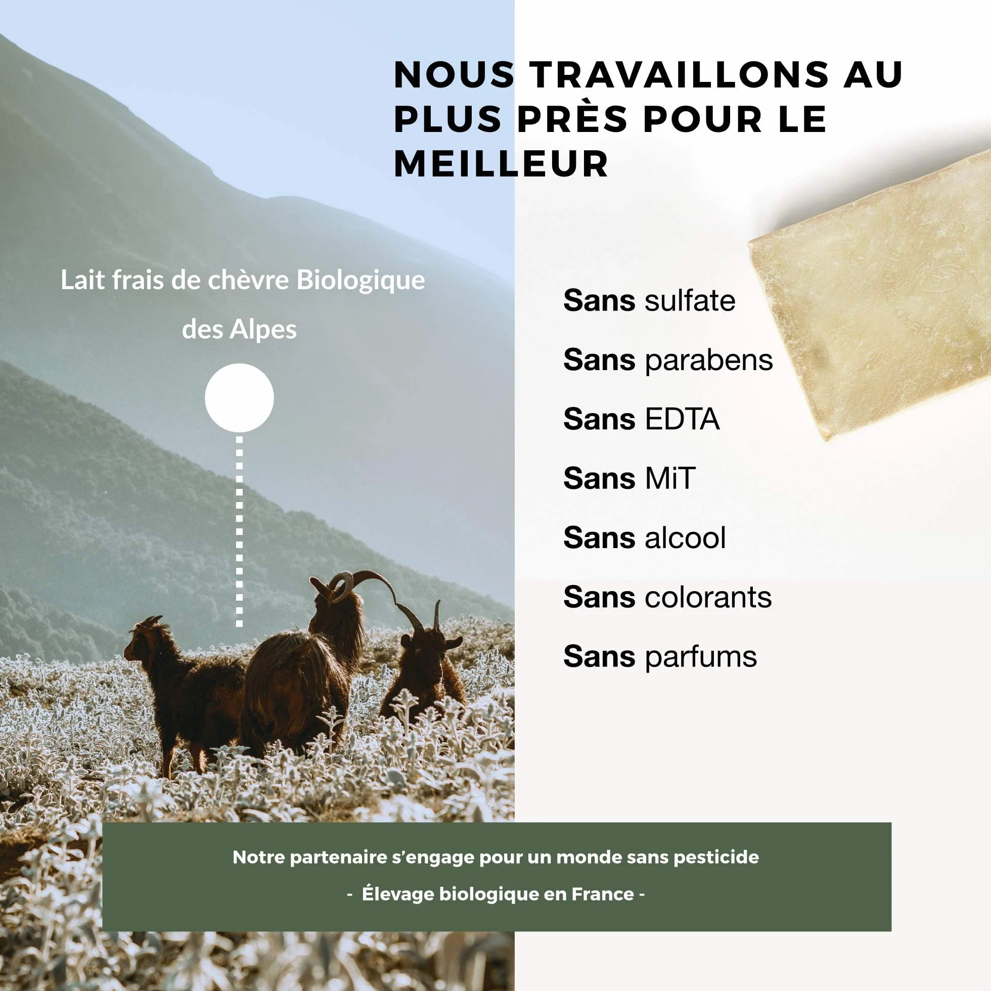 Savon au lait de chèvre frais Bio Fabrication Française Peaux sensibles Lot de 2 (2x100g)