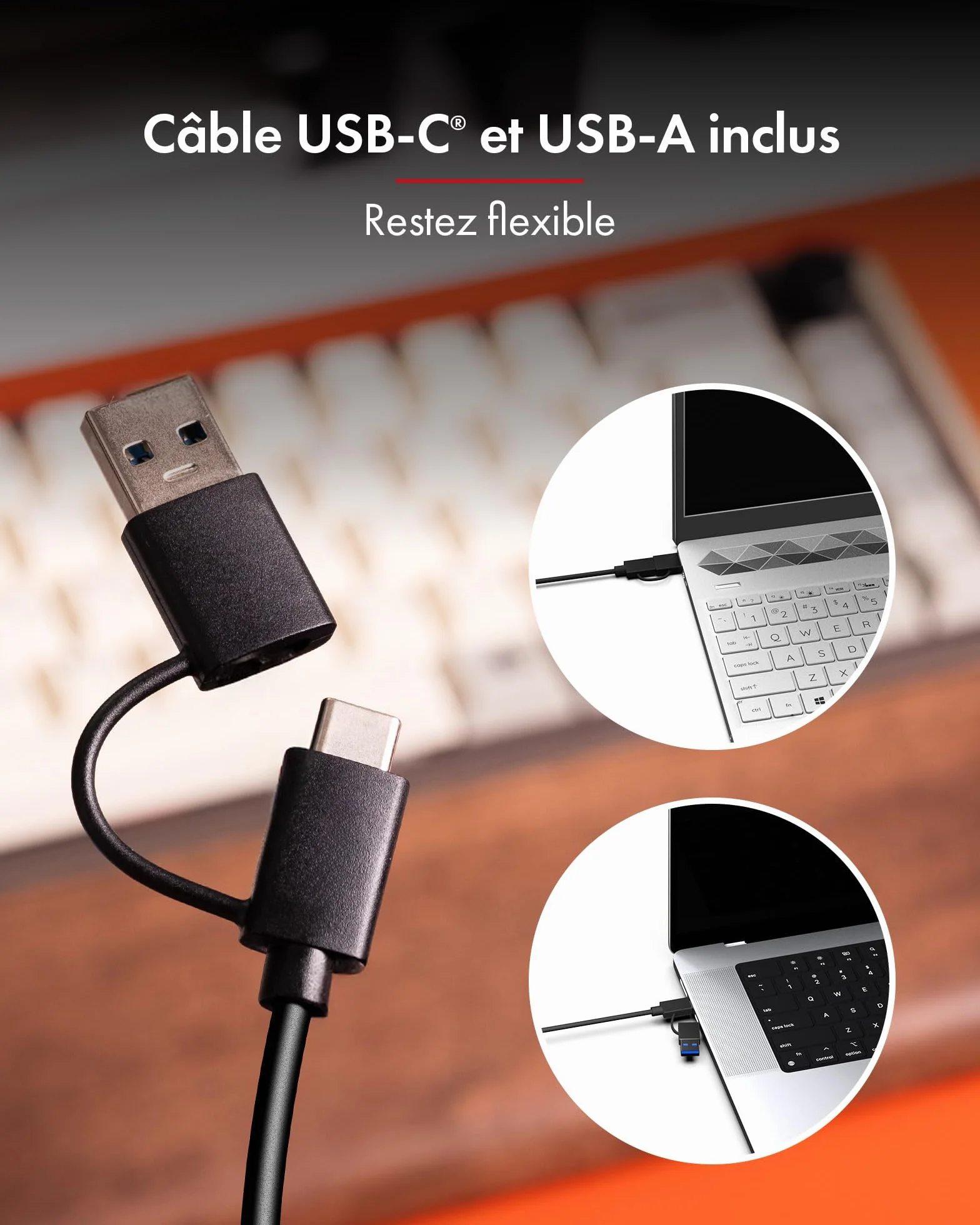 ICY Box Spade Dock IB-1123M-CU31 Station d’Accueil M.2 NVMe SATA HDD/SSD USB 3.2 Gen 2 Type-C HotSwap UASP