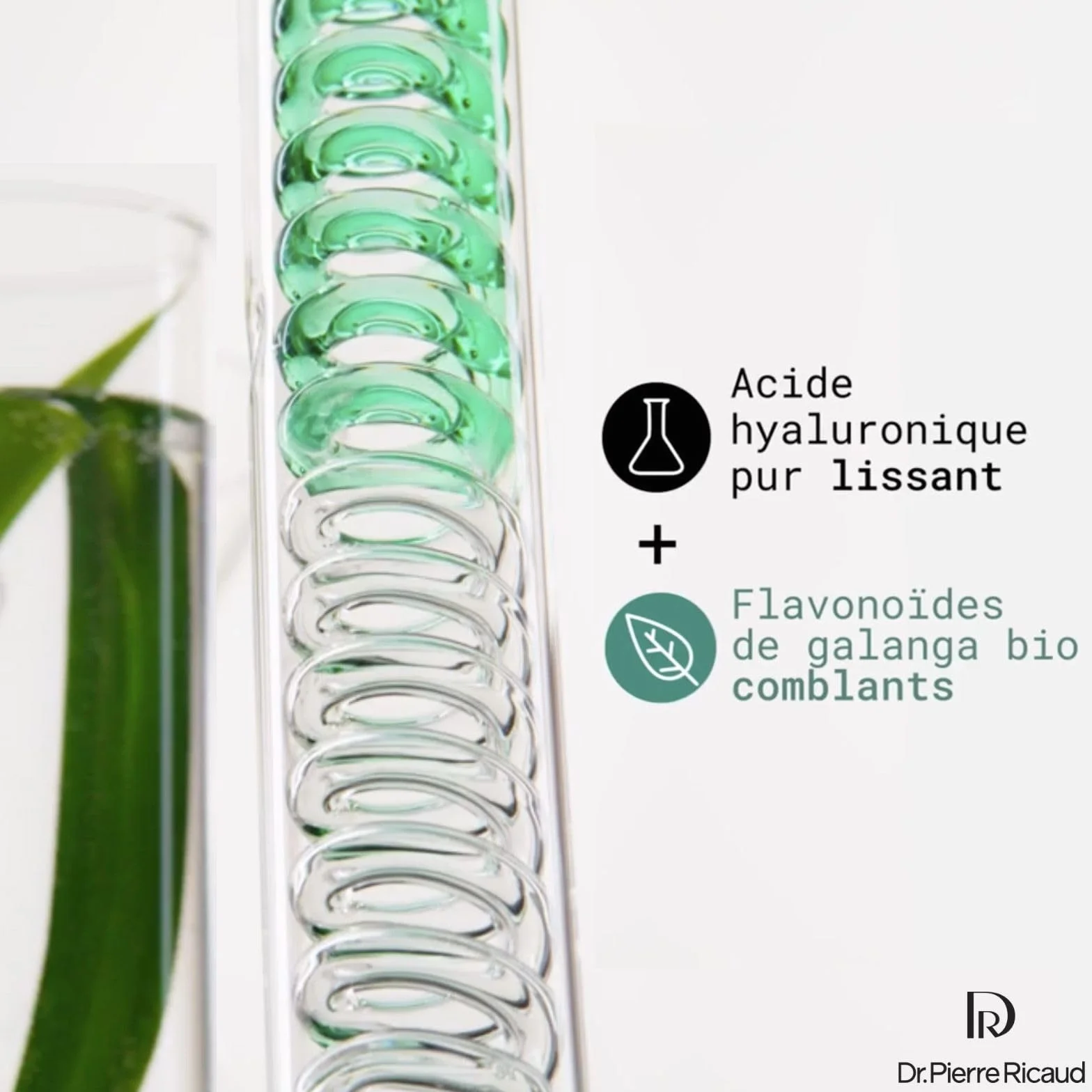Dr Pierre Ricaud Crème Anti-Rides Comblante Visage Acide Hyaluronique Galanga Bio 40ml