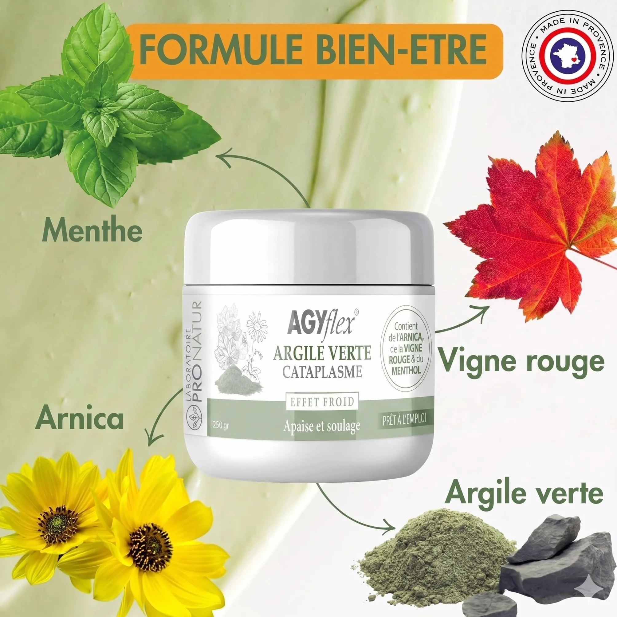 Cataplasme Cryo AGYflex Argile Verte 250g Vigne Rouge Arnica Menthol Bien-être Muscles Articulations Fabriqué en France
