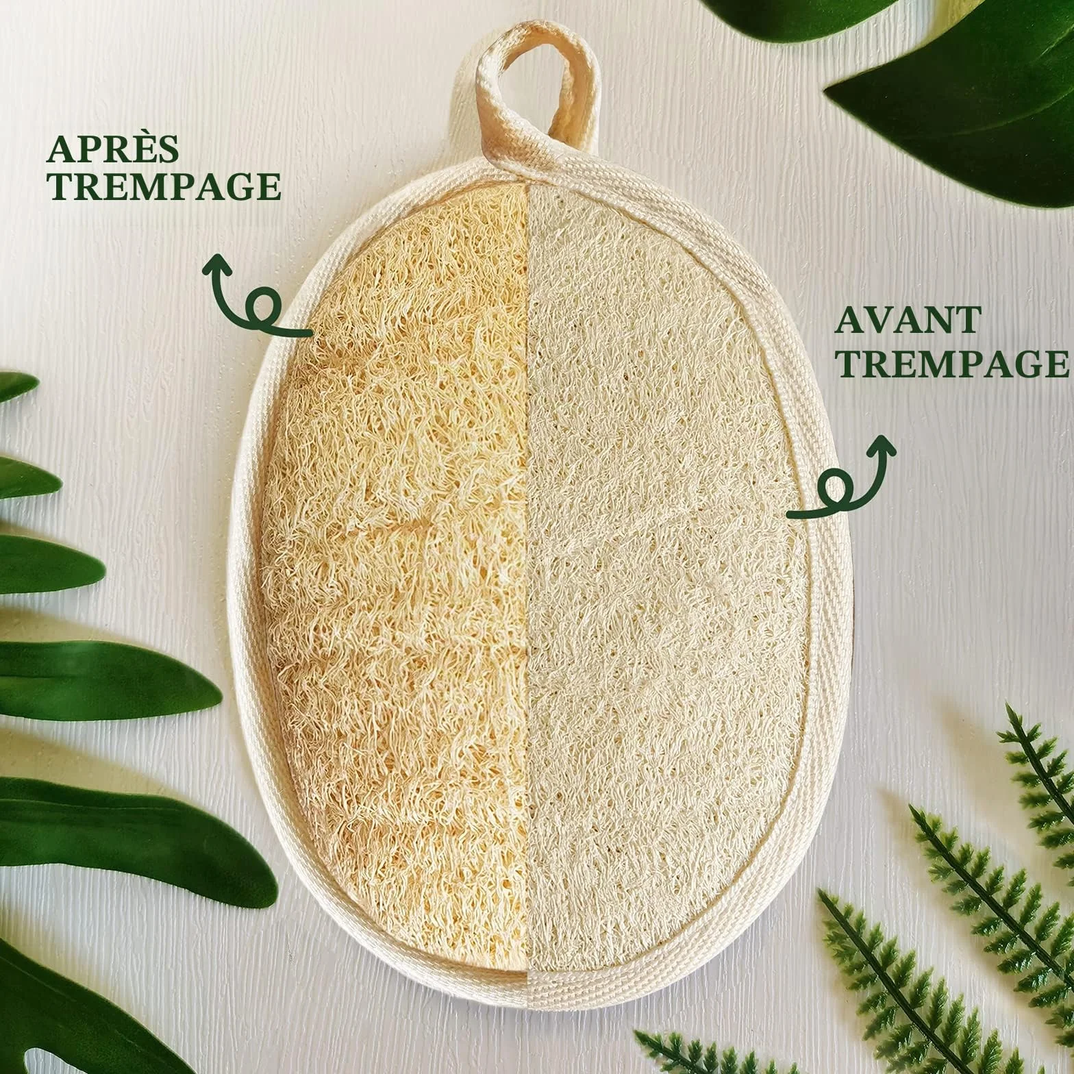 Éponge naturelle de luffa exfoliante pour le corps, paquet de 2, fibres végétales, beige