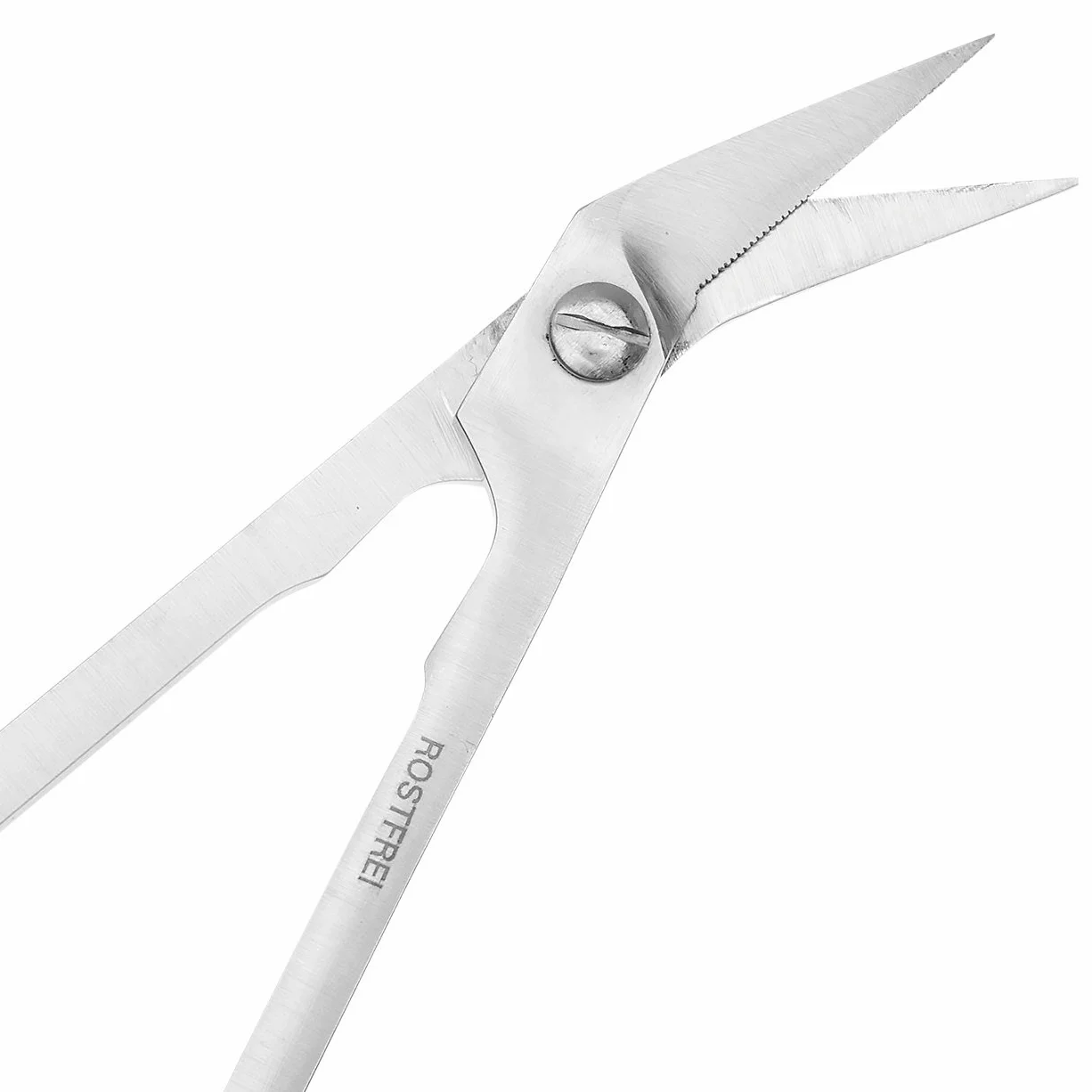 Ciseaux Pédicure Long Manche Acier Inoxydable 17,5 cm Antidérapante Grandes Poignées Ongles Épais Seniors