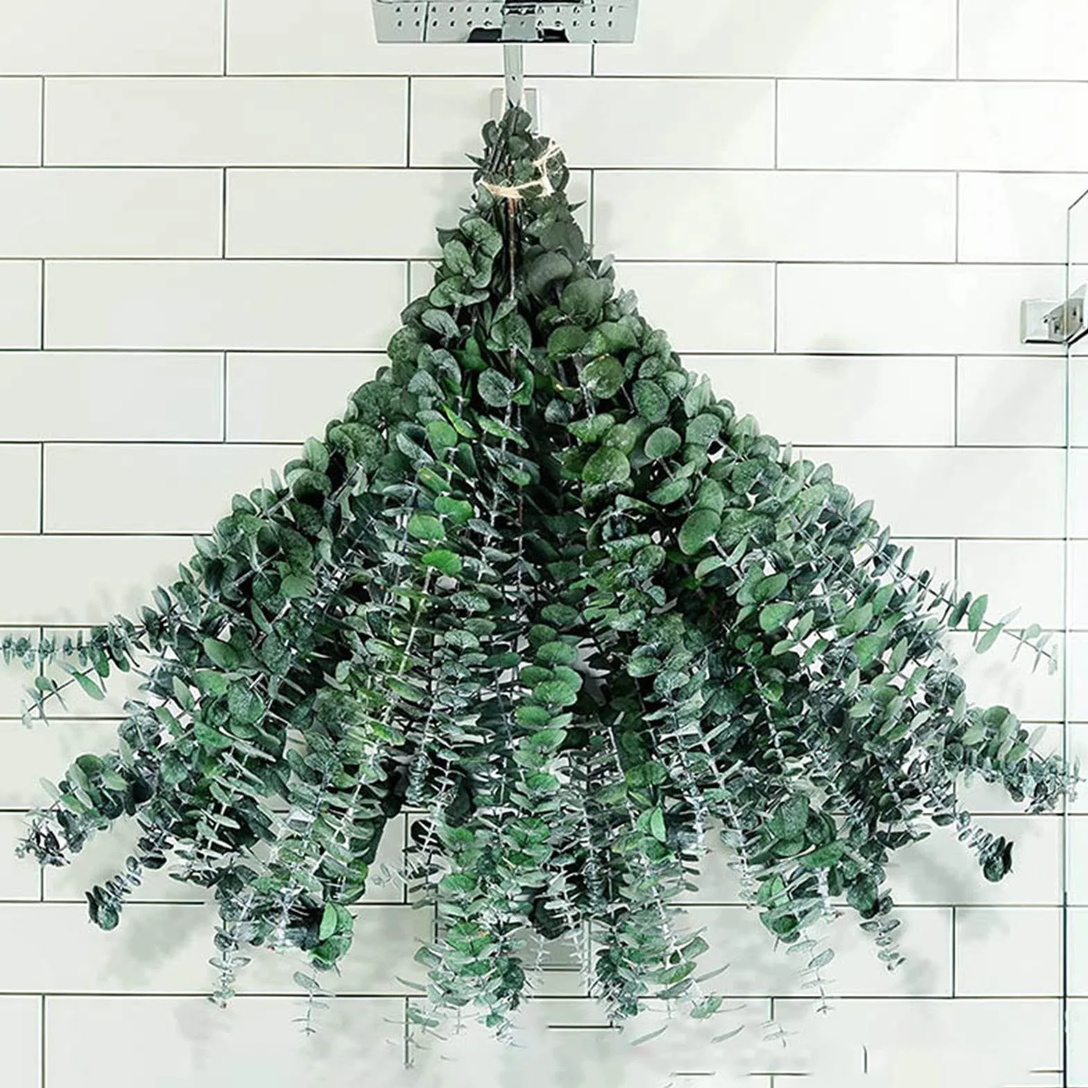 Eucalyptus sec 10 tiges pour salle de bain parfum rafraîchissant