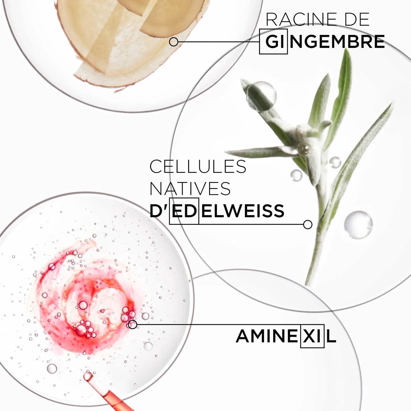 KÉRASTASE Genesis Fondant Renforçateur