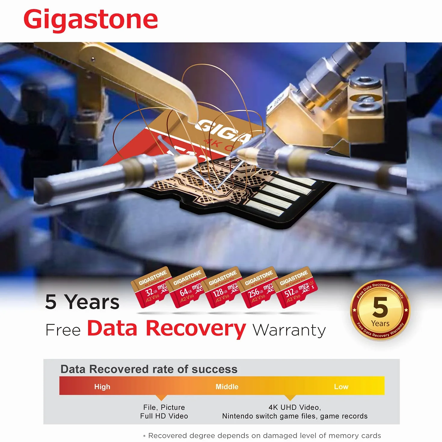 GIGASTONE Carte Mémoire 256 Go MicroSDXC A2 V30 U3 4K 100 Mo/s