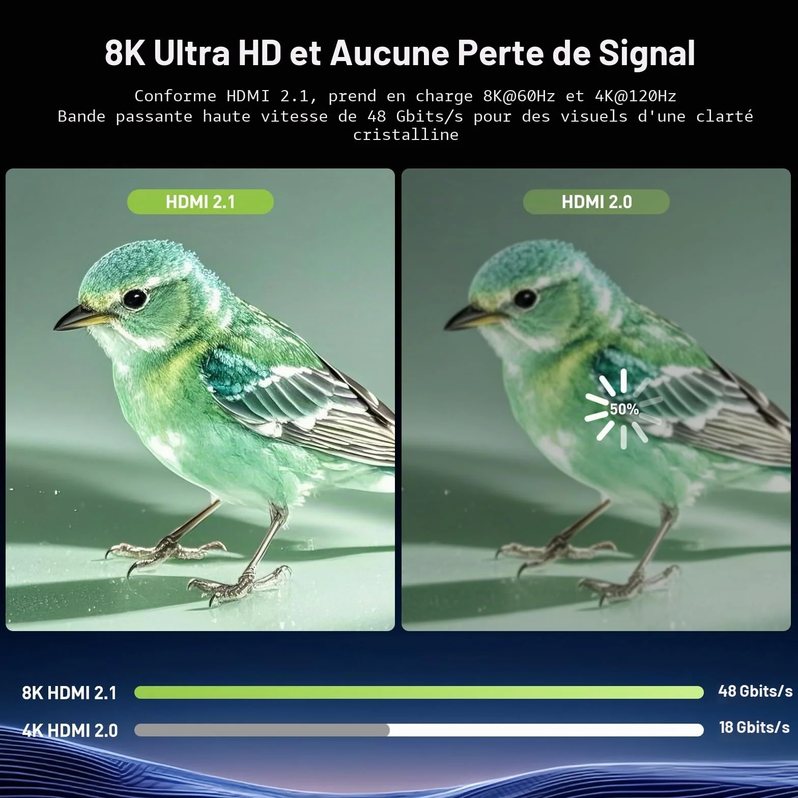 Adaptateur Rallonge HDMI 2.1 Connecteur Femelle vers Femelle 8K@60Hz 4K@120Hz UHD HDR eARC