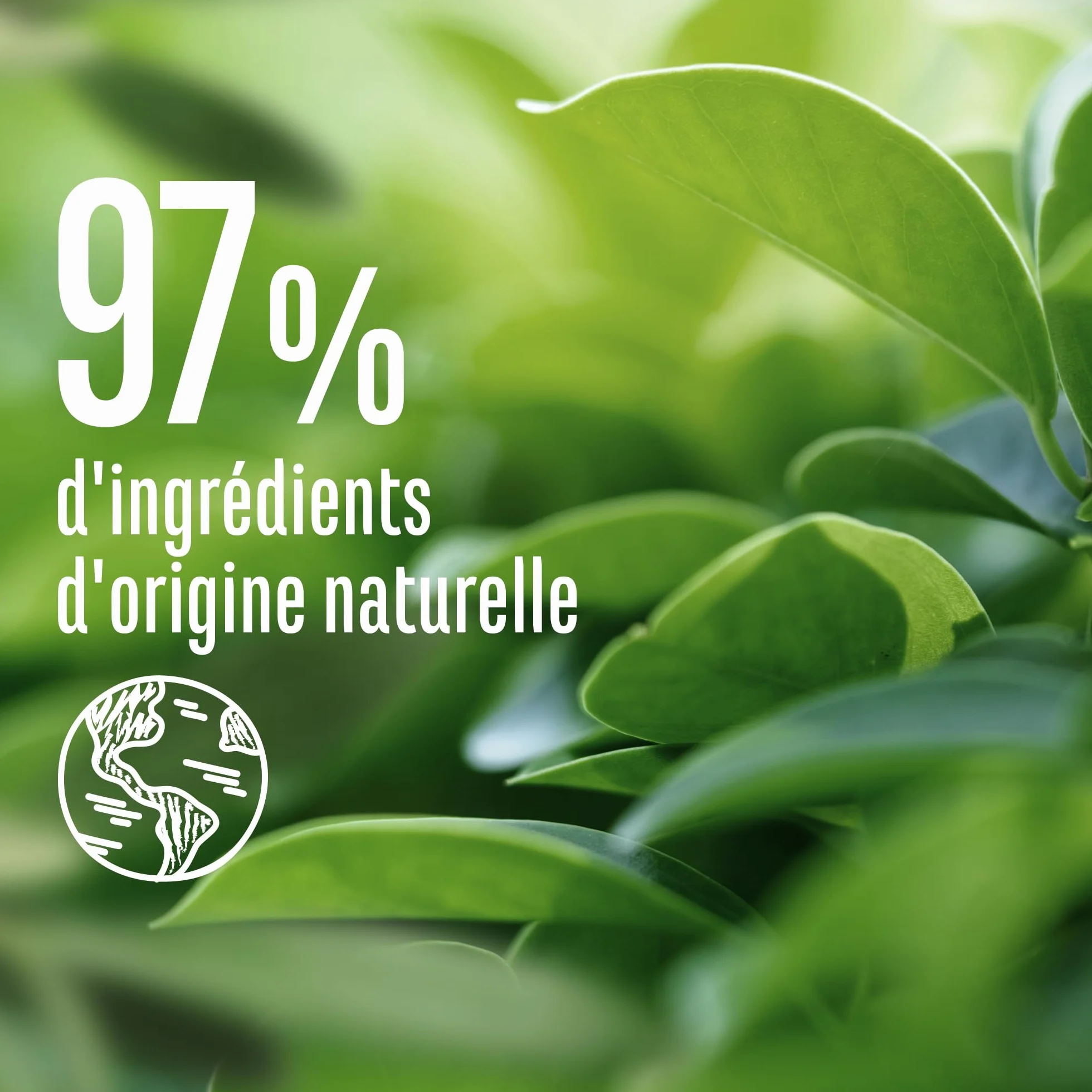 Le Petit Marseillais Shampooing Équilibrant Purifiant Poudre d'Argile Blanche 250 ml Shampoing sans silicone cheveux regraissant vite 97 % ingrédients naturelle