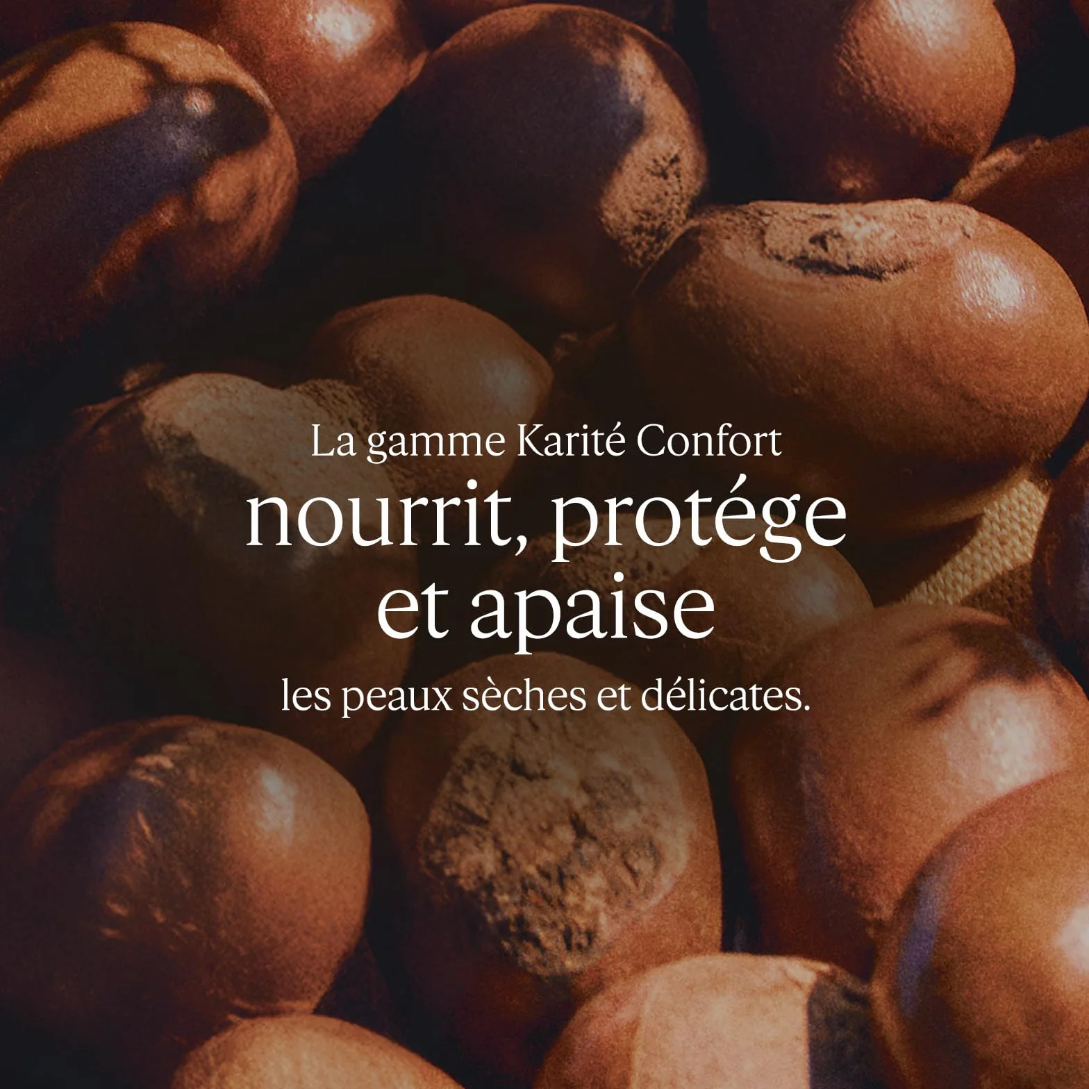 L'OCCITANE Crème Pieds Karité Confort Peaux sèches Nourrit et répare Fabriqué en France