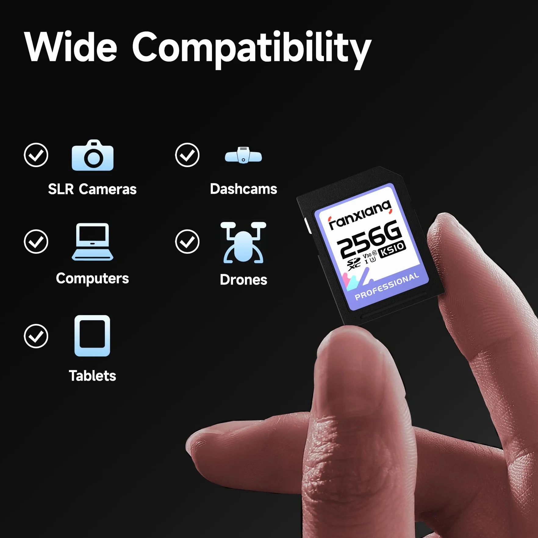 Fanxiang Carte SD 256 Go 100 Mo/s SDXC UHS-I V30 U3 Classe 10 pour Appareil Photo Vidéos 4K UHD