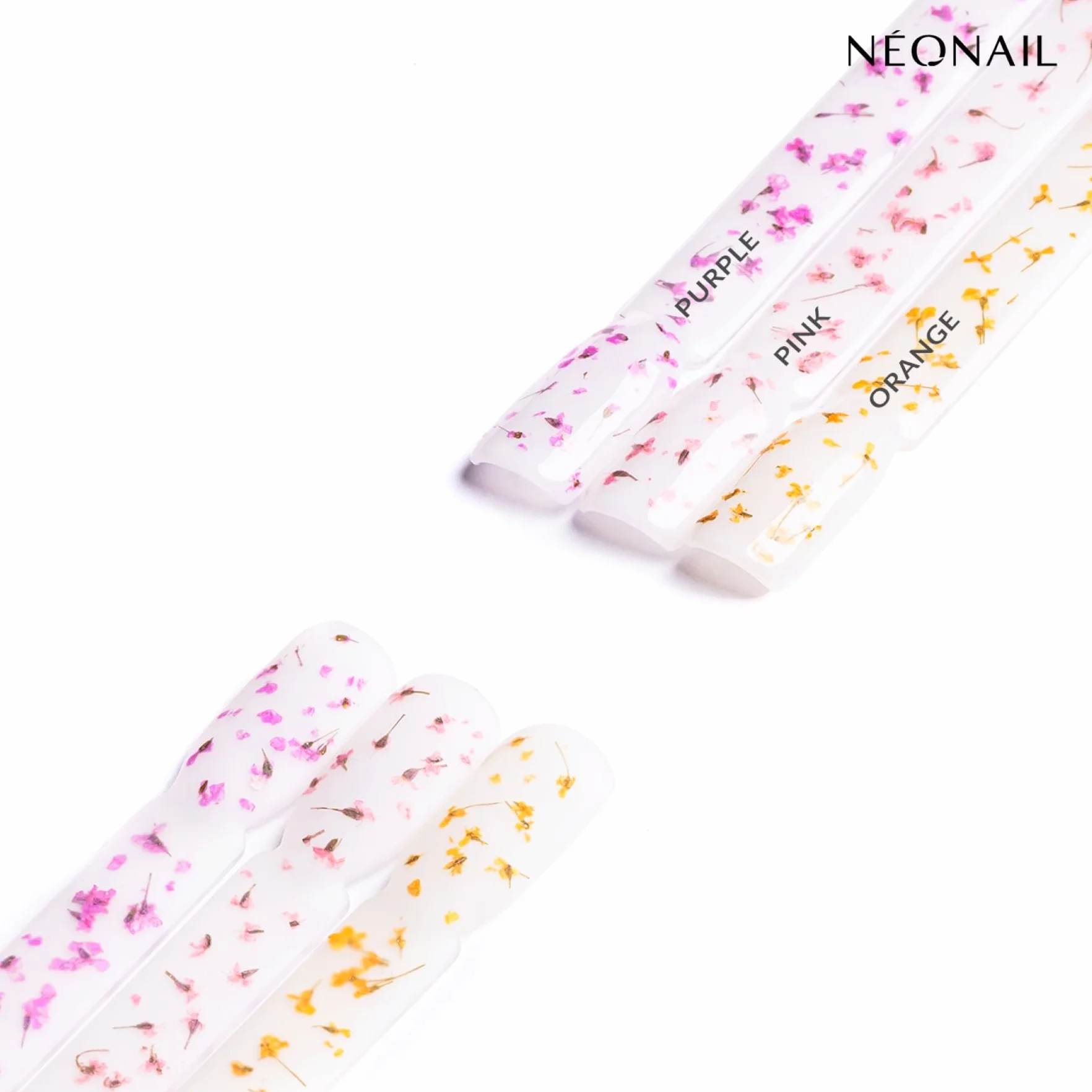 NEONAIL Fleurs Séchées Set de décoration d'ongles Nail Art 3 couleurs rose violet orange