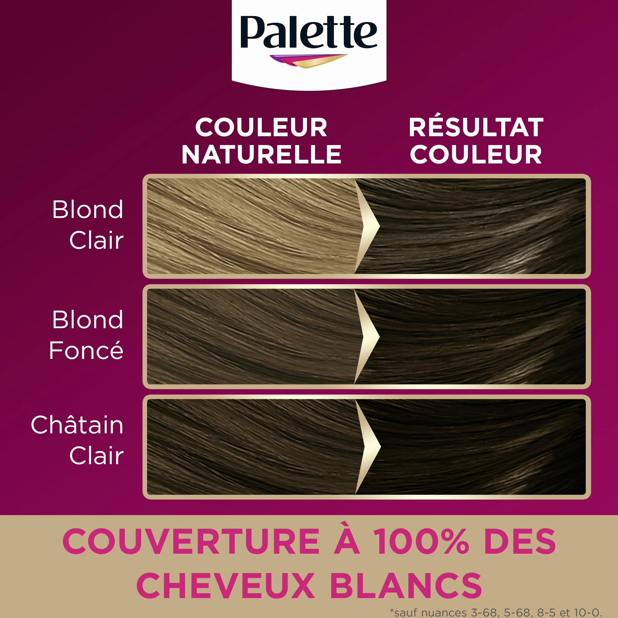 Palette Coloration Permanente Crème Soin Couverture 100% Cheveux Blancs Longue Durée 8.7 Blond Terracotta