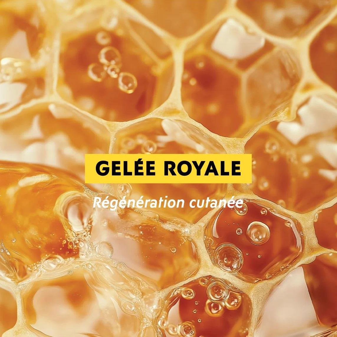 Alvadiem Crème Réparatrice Mains et Ongles Gelée Royale Bio 50 ml