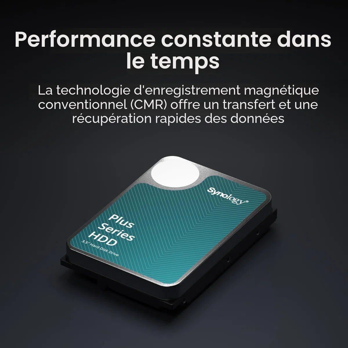 Synology HAT3300-2T HDD de 2 to
