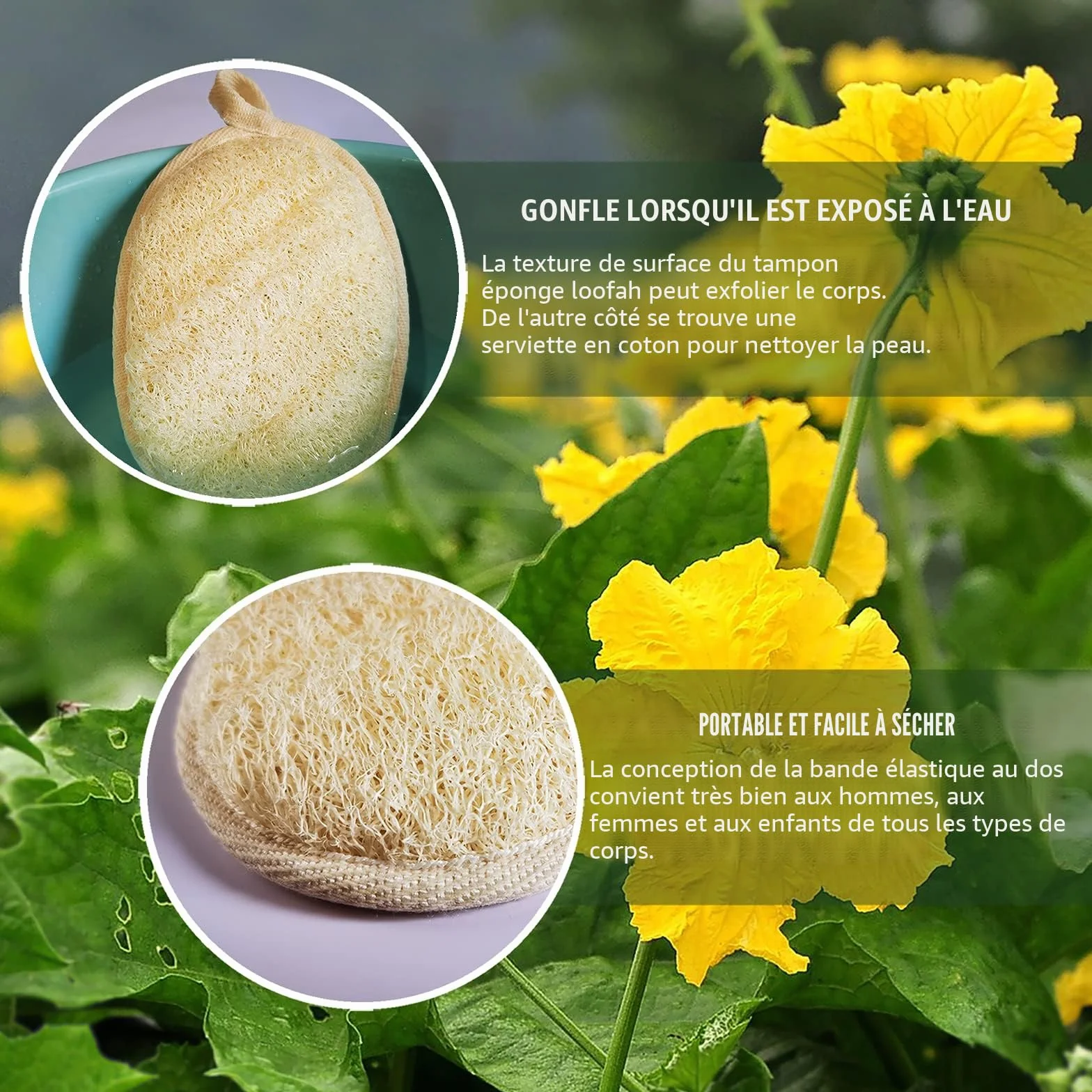 Éponge naturelle de luffa exfoliante pour le corps, paquet de 2, fibres végétales, beige