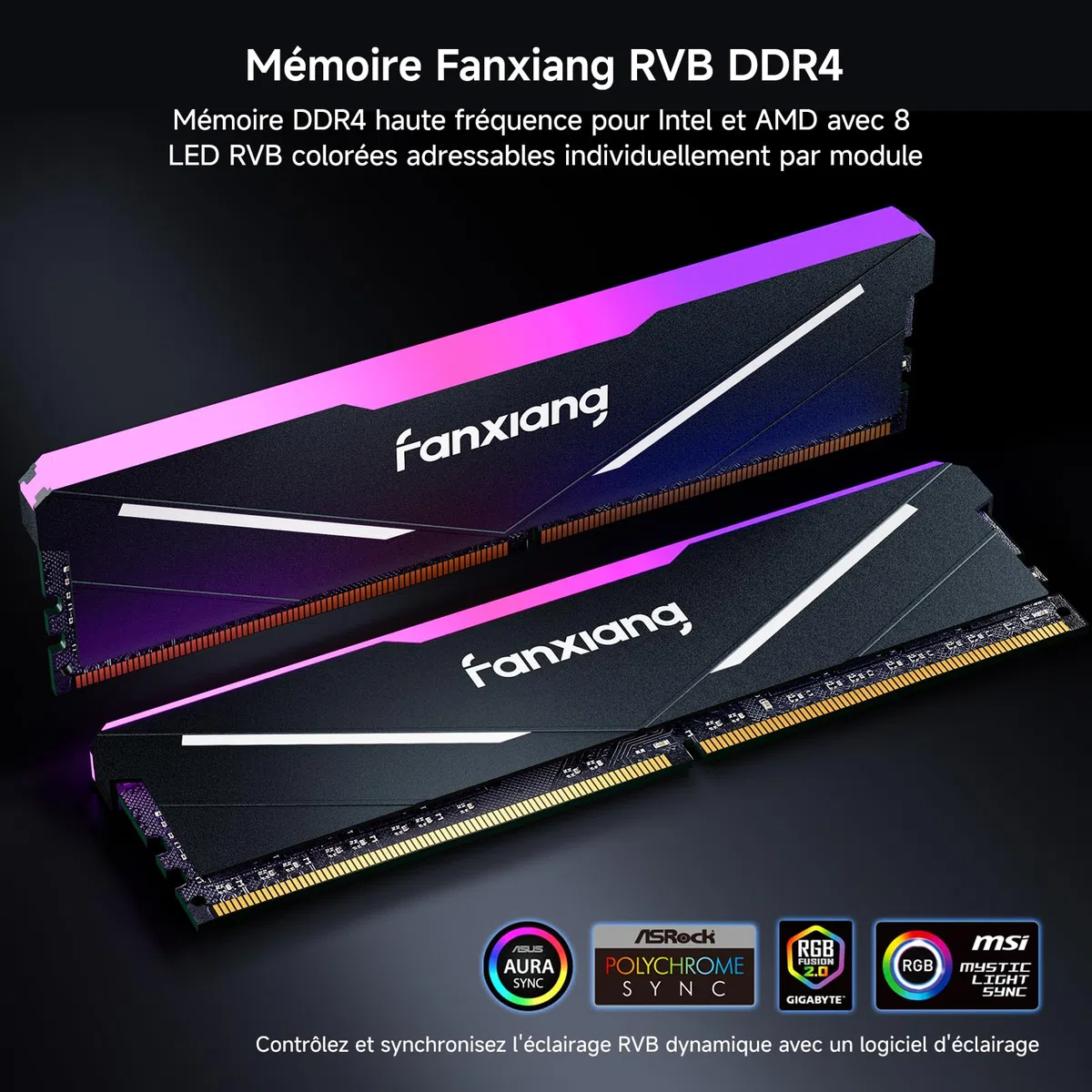 fanxiang RGB RAM DDR4 32 Go (2x16 Go) 3600 MHz CL18 V1.35, Une Mémoire RAM d'Overclocking pour Les Ordinateurs de Jeu de Bureau, Compatible avec Intel XMP 2,0 et AMD