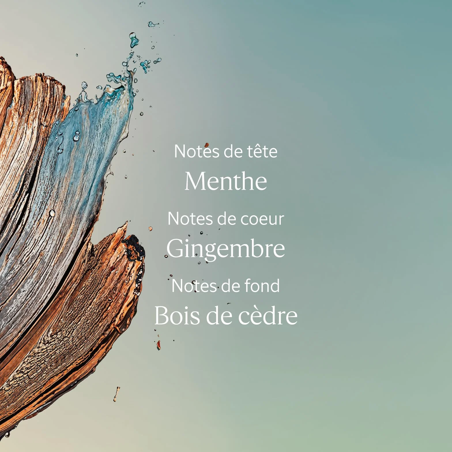 L'OCCITANE Gel Douche Cèdre Gingembre Notes aquatiques mentholées épicées Fabriqué en France