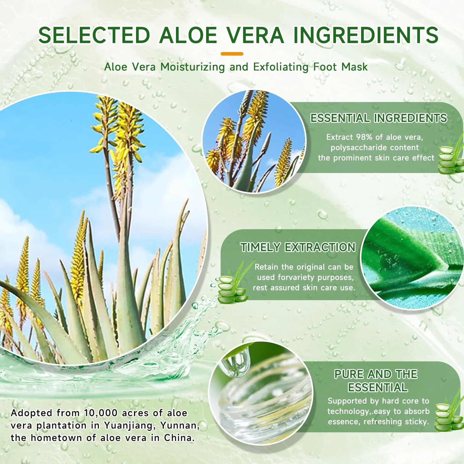 Masque Peeling Pied Aloe Vera Exfoliant Nourrissant Hydratant pour Femmes Hommes