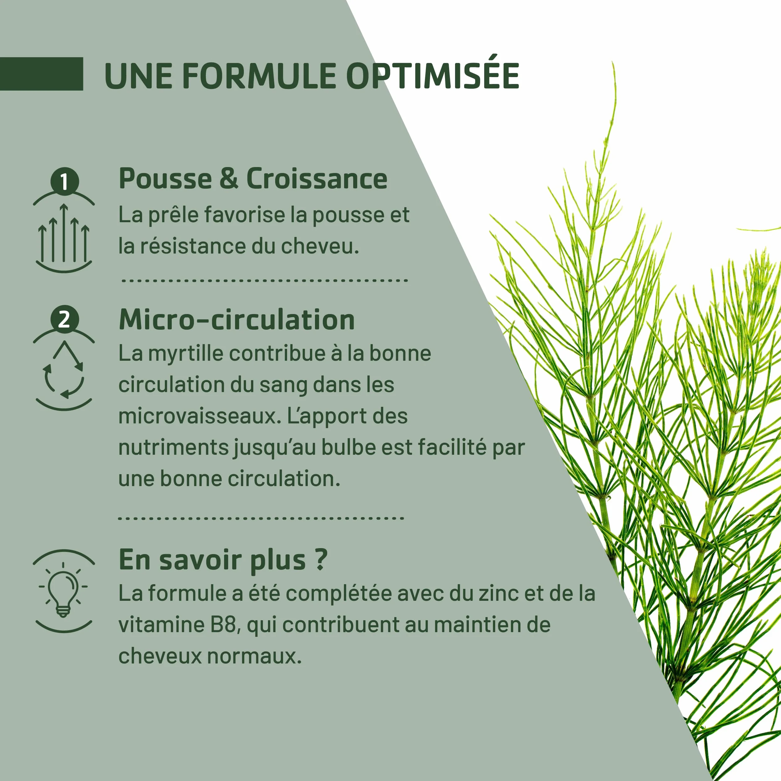JUVAMINE Chute de Cheveux Pousse Croissance 6 Actifs Beauté Zinc Biotine 30 Comprimés Fabriqué en France