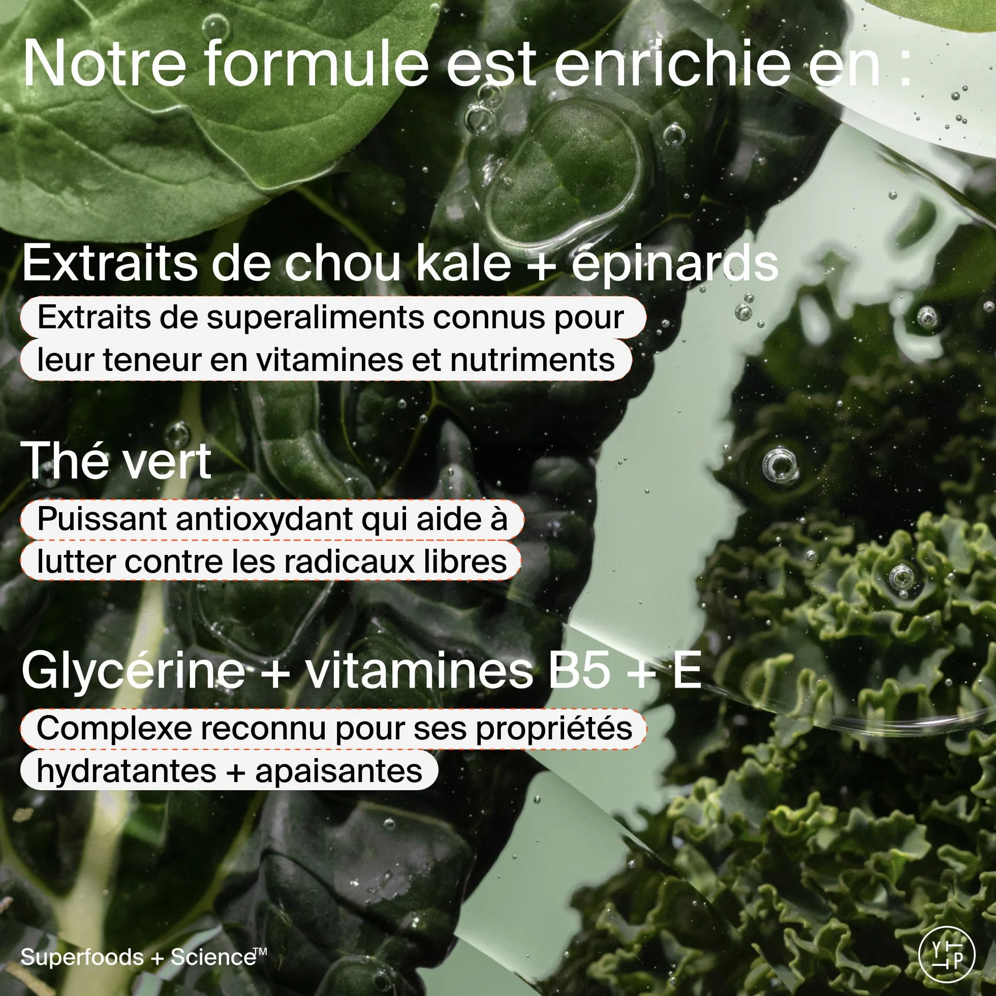 Youth To The People Superfood Cleanser Nettoyant Visage Enrichi en Chou Kale Thé Vert Épinards pH Équilibré 59 ml