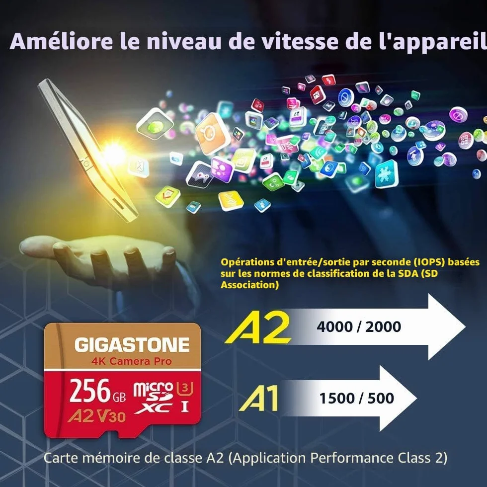 GIGASTONE Carte Mémoire 256 Go MicroSDXC A2 V30 U3 4K 100 Mo/s