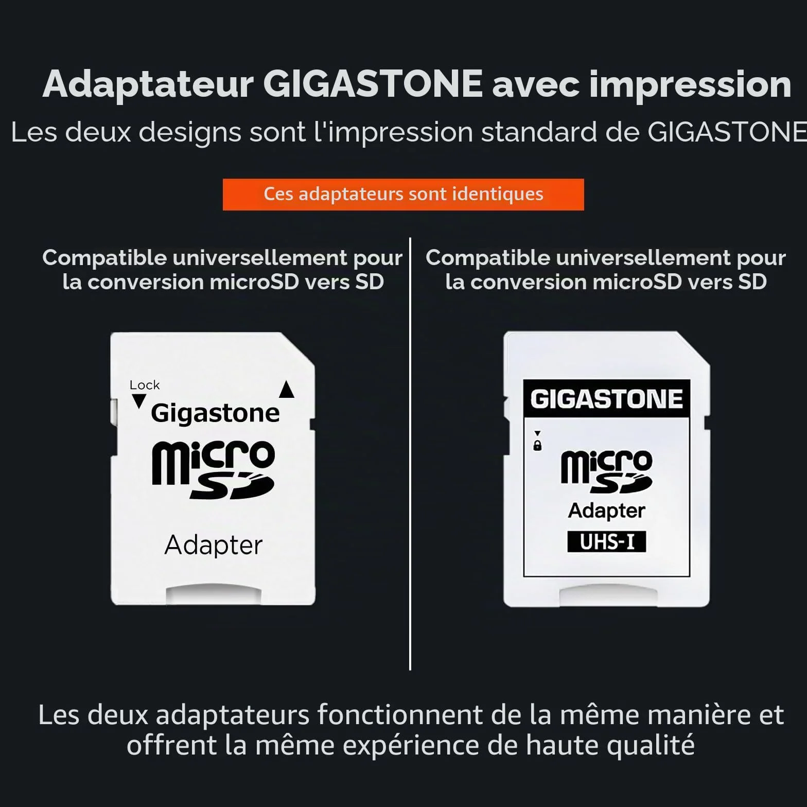 GIGASTONE Carte Mémoire 256 Go MicroSDXC A2 V30 U3 4K 100 Mo/s