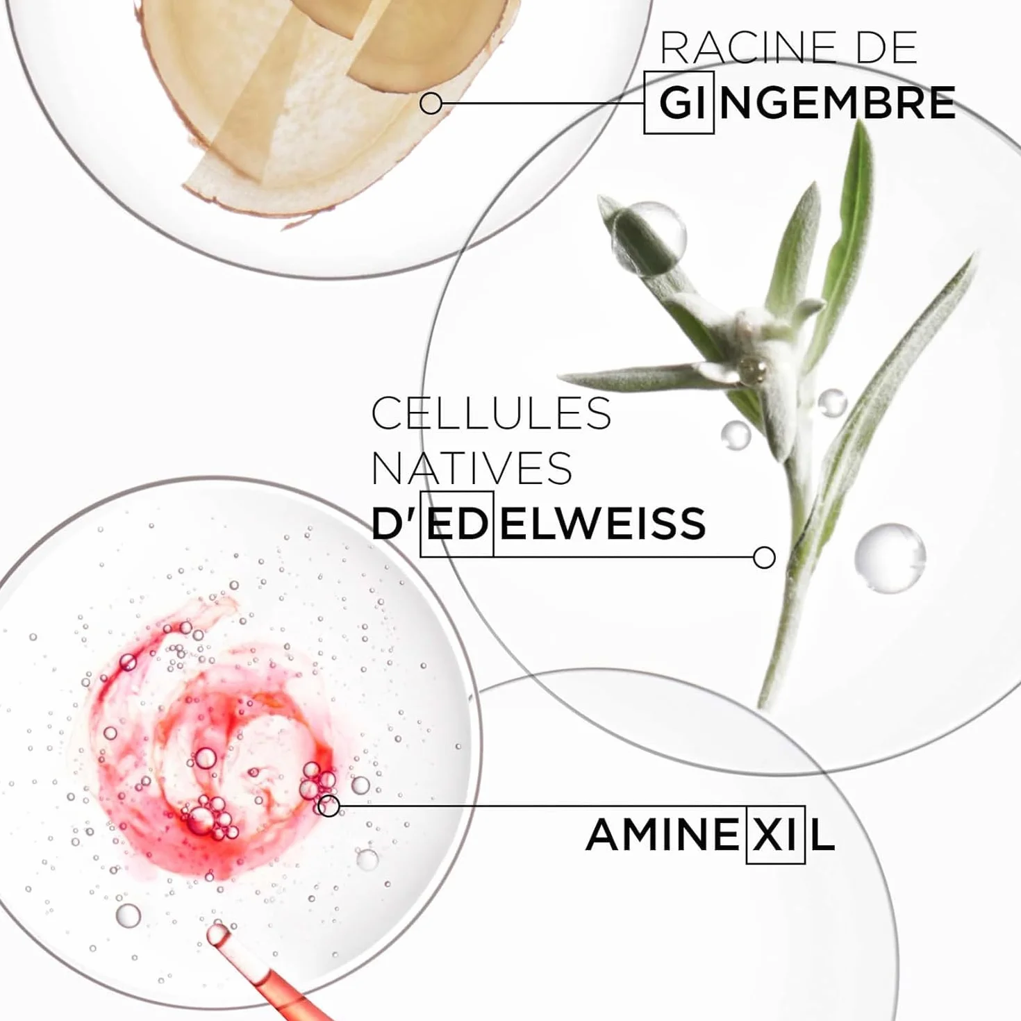KÉRASTASE Genesis Routine Nourissante Anti-Casse Cheveux Fragiles Aminexil
