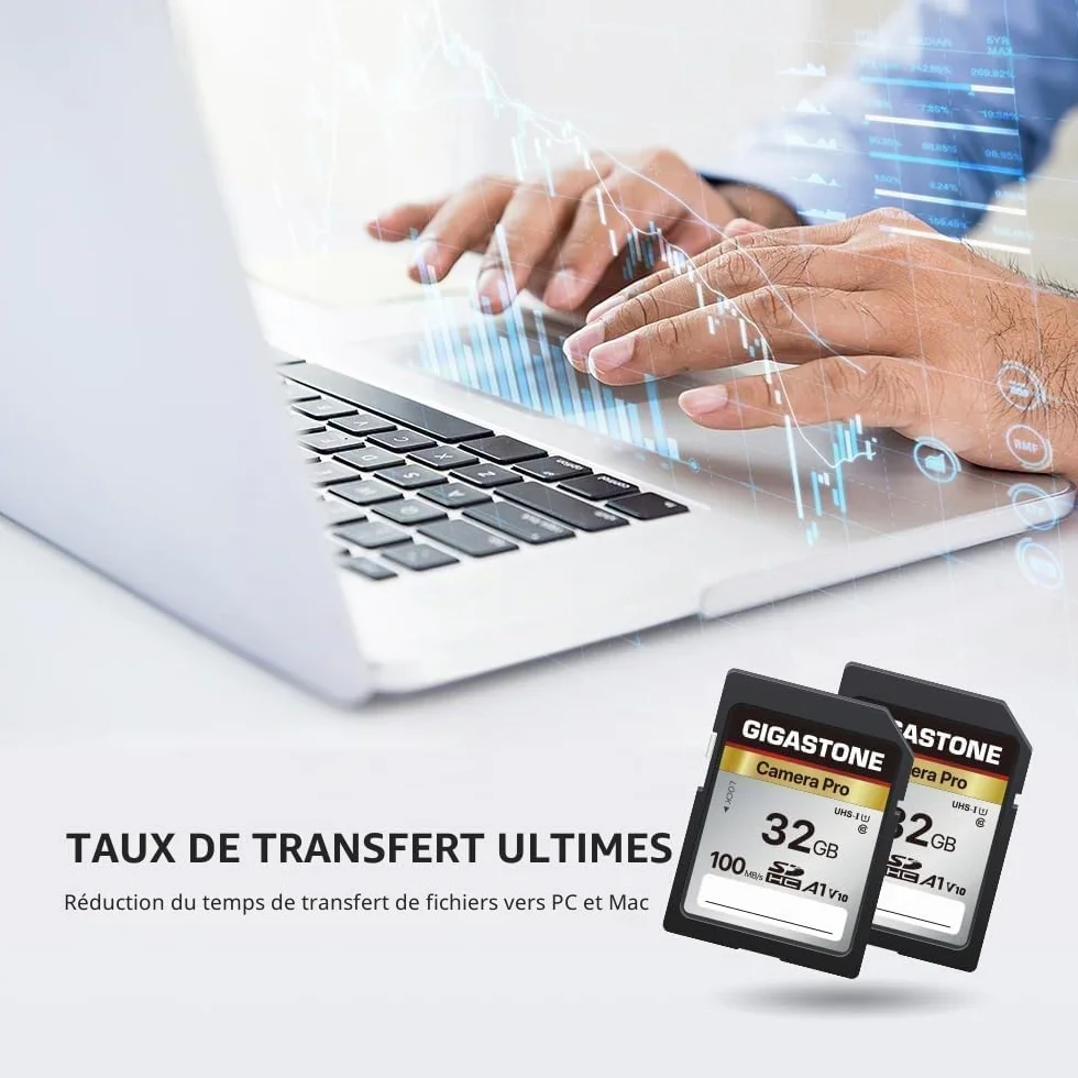 Gigastone Carte Mémoire SDHC 32 Go Lot de 2, Classe 10 UHS-I U1 V10 100 Mo/s pour Caméra Canon Nikon Sony