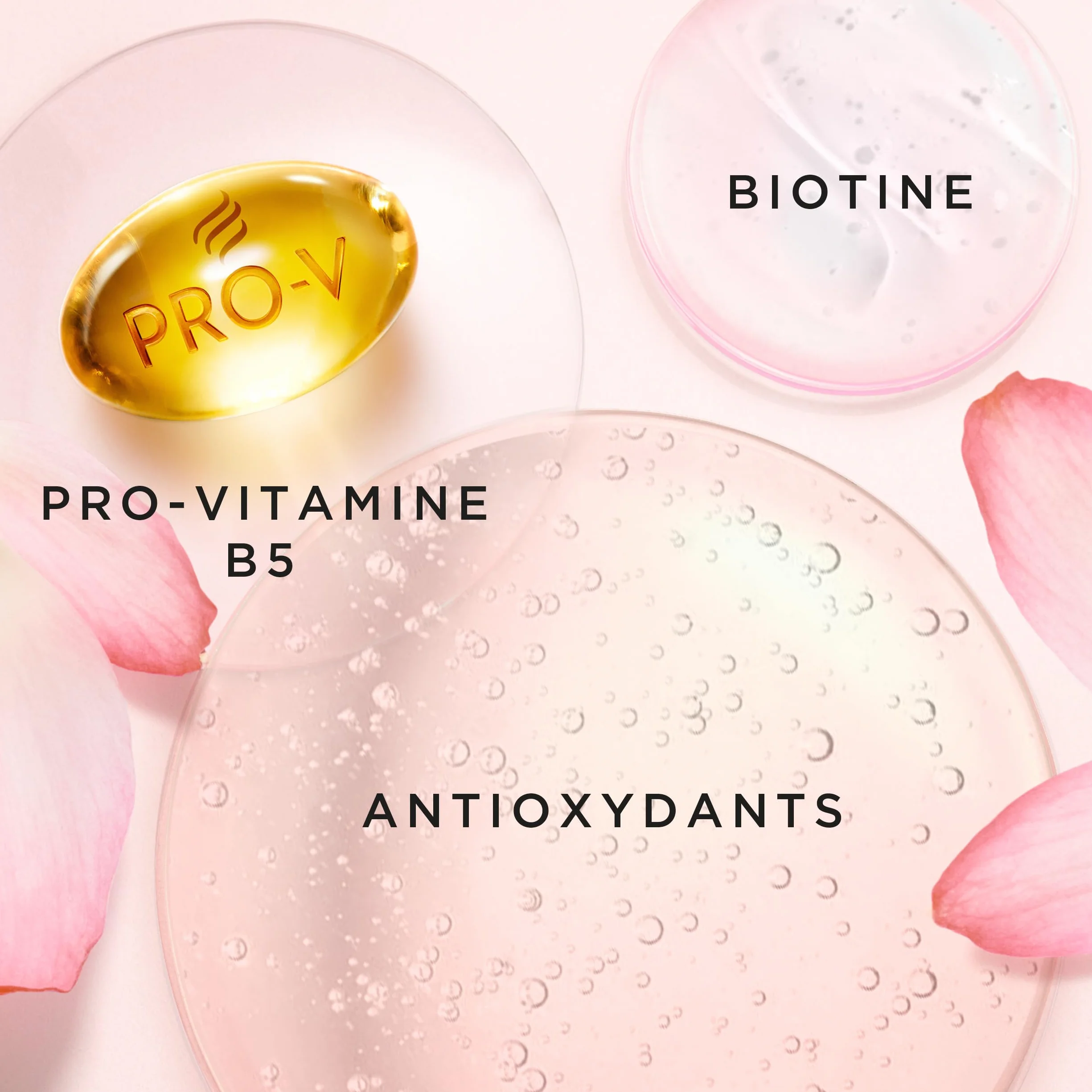 Pantene Après-shampoing Épaississant Biotine Eau De Rose Lift Volume XL Pompe 1000 ml