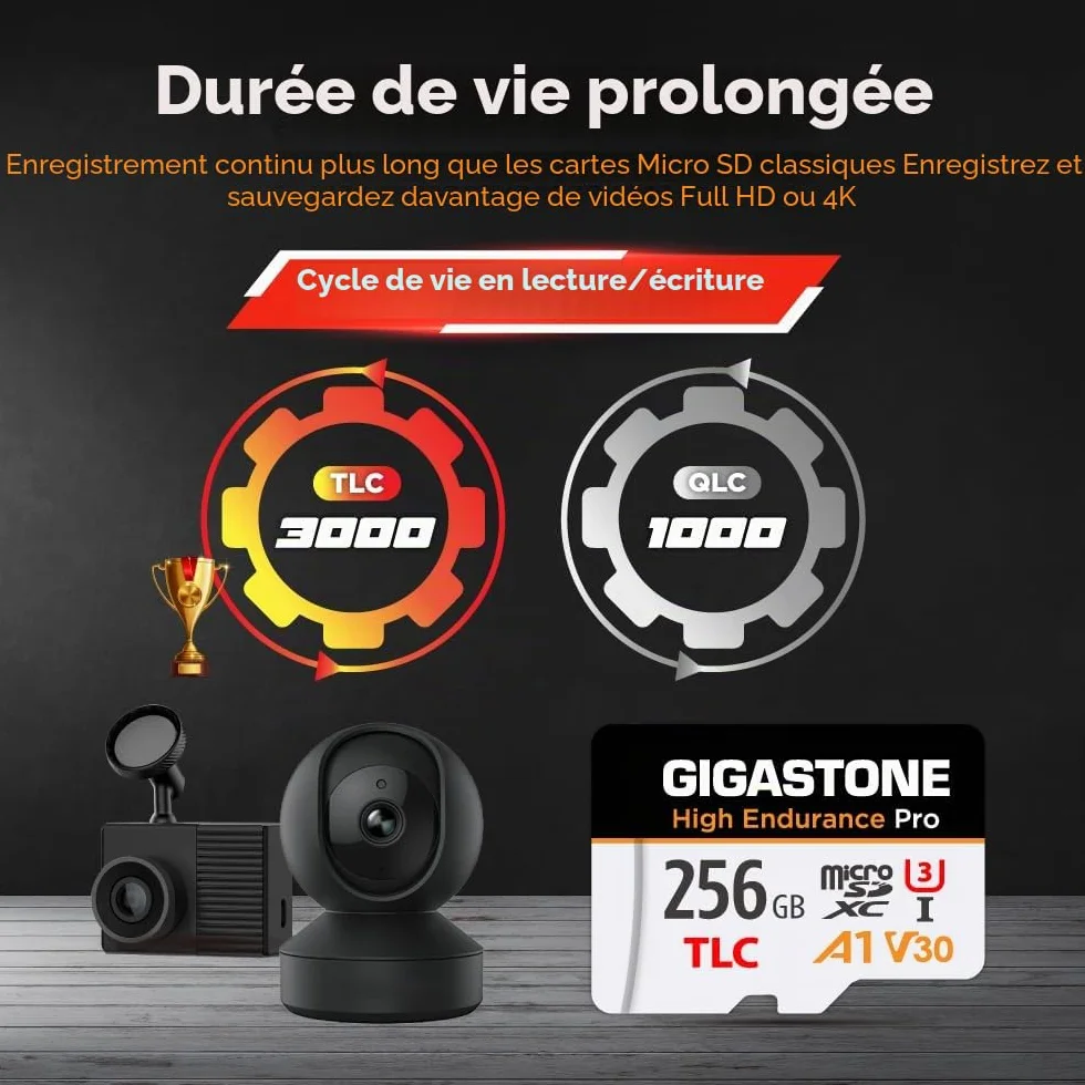 GIGASTONE Carte Micro SD 256 Go Haute Endurance Pro Series 100 Mo/s