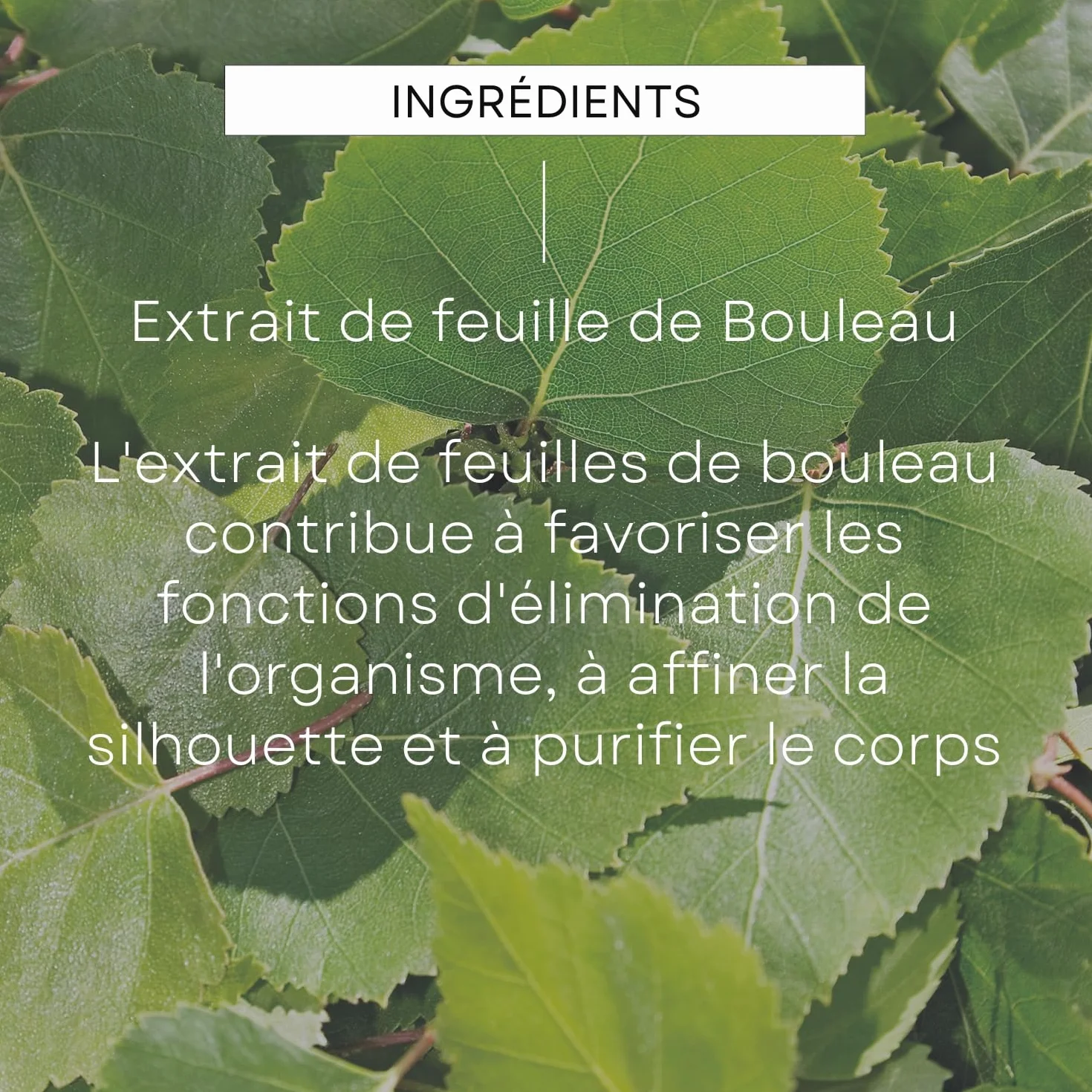 WELEDA Crème de Douche Gommante au Bouleau 150 ml